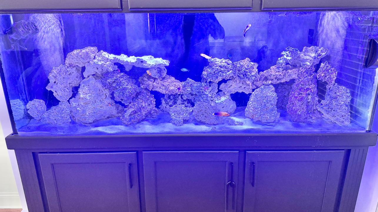 Tank Image