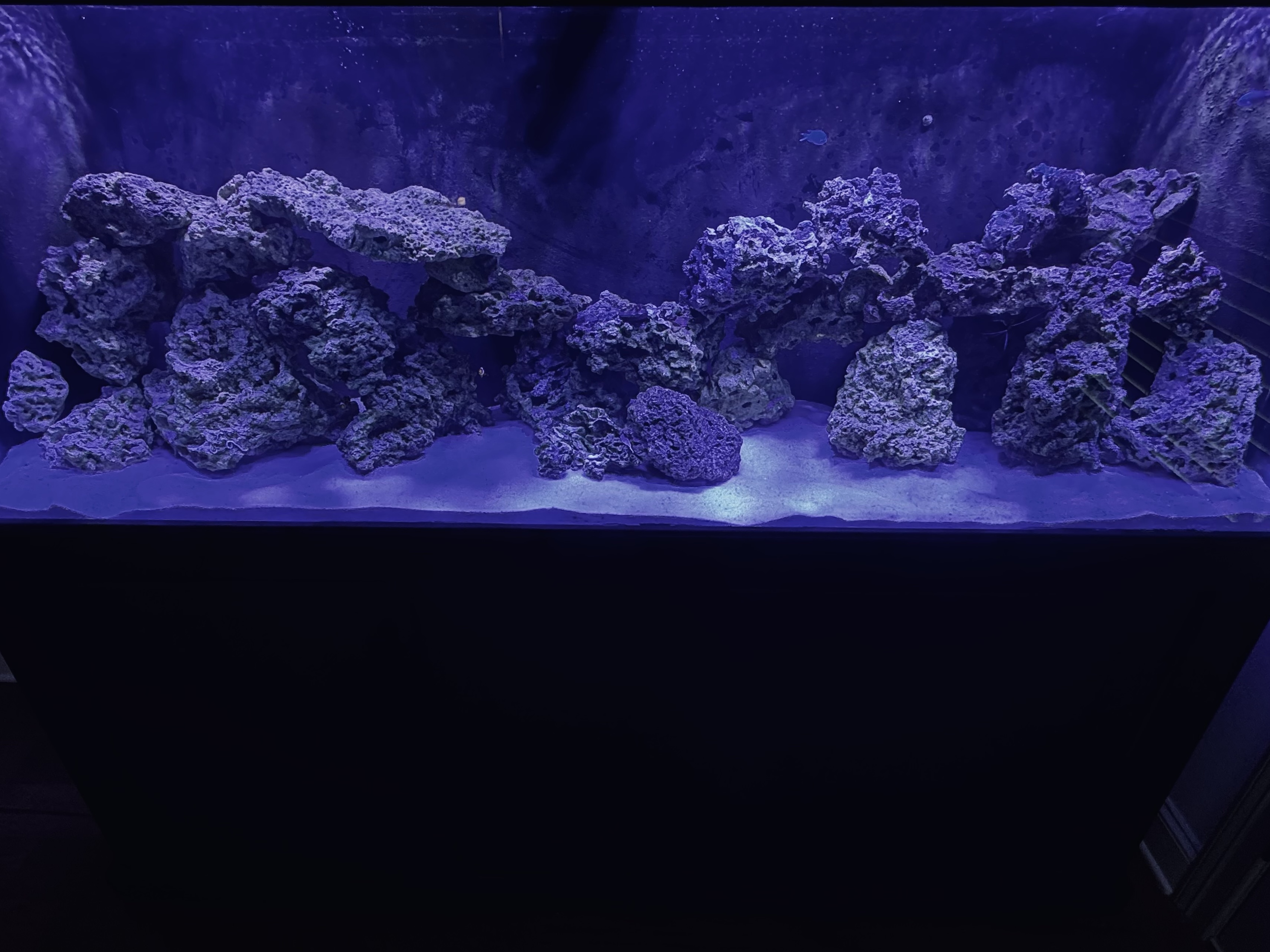 Tank Image