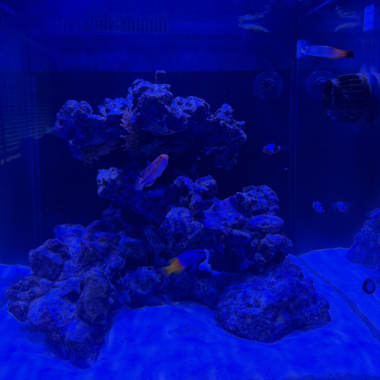Tank Image
