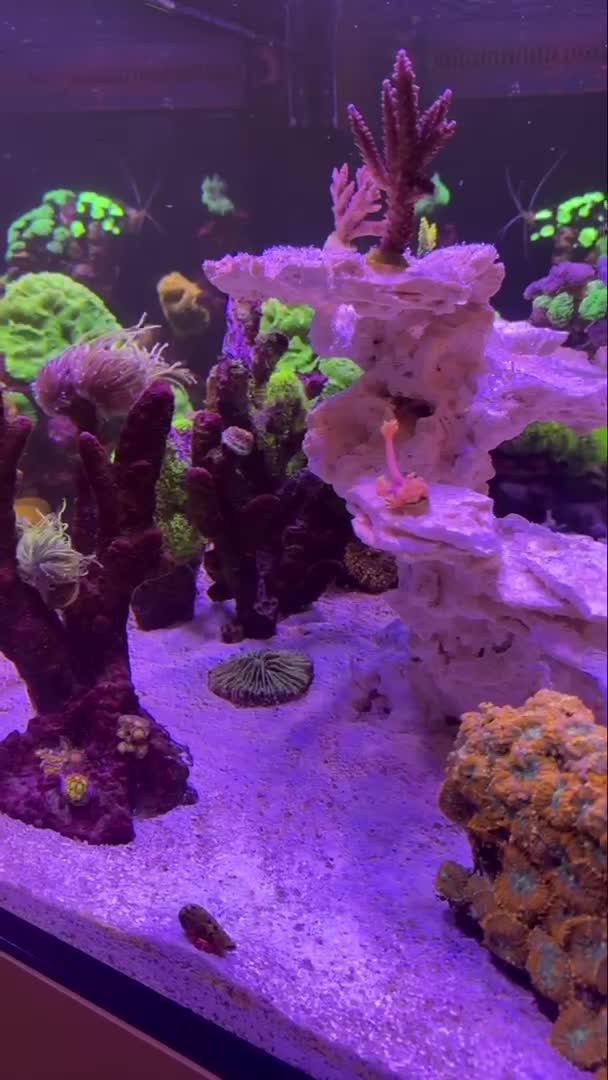 ReefBay post