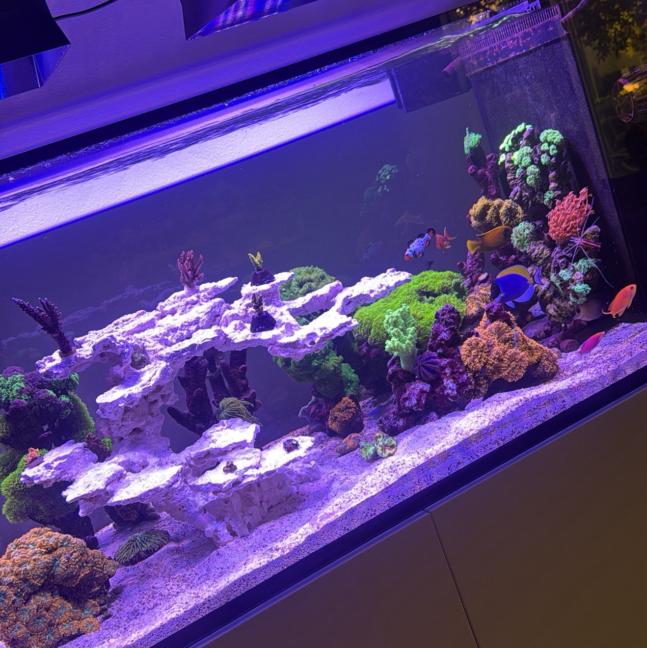 Tank Image