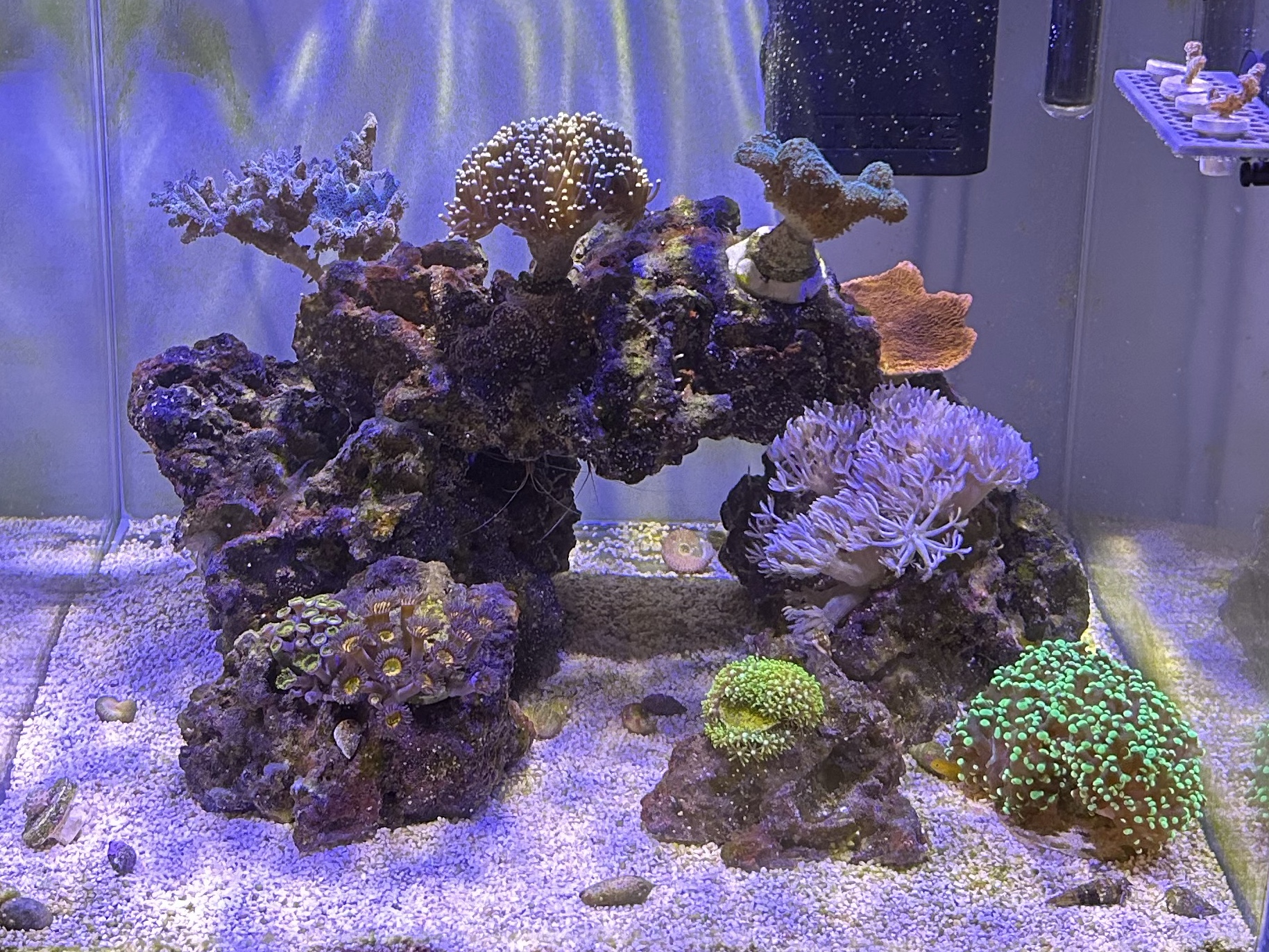 Tank Image