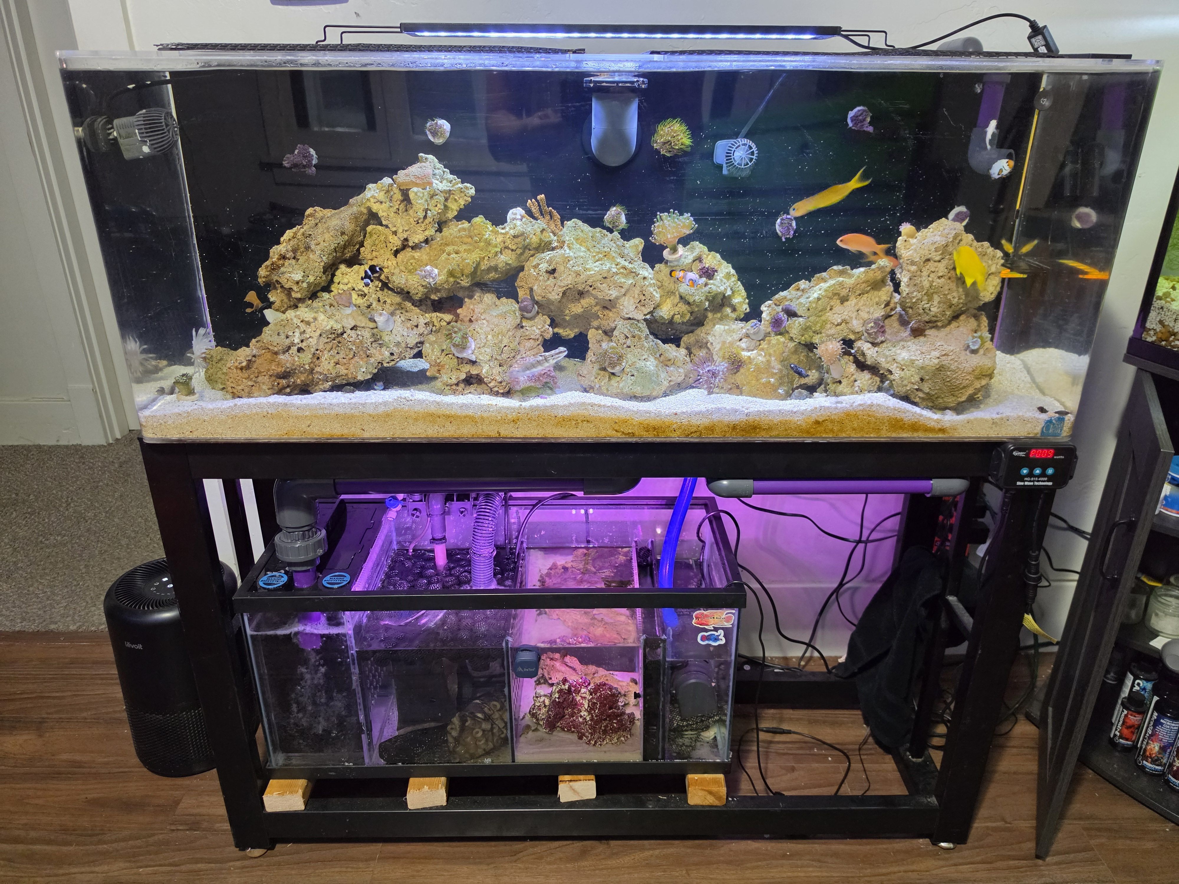 Tank Image