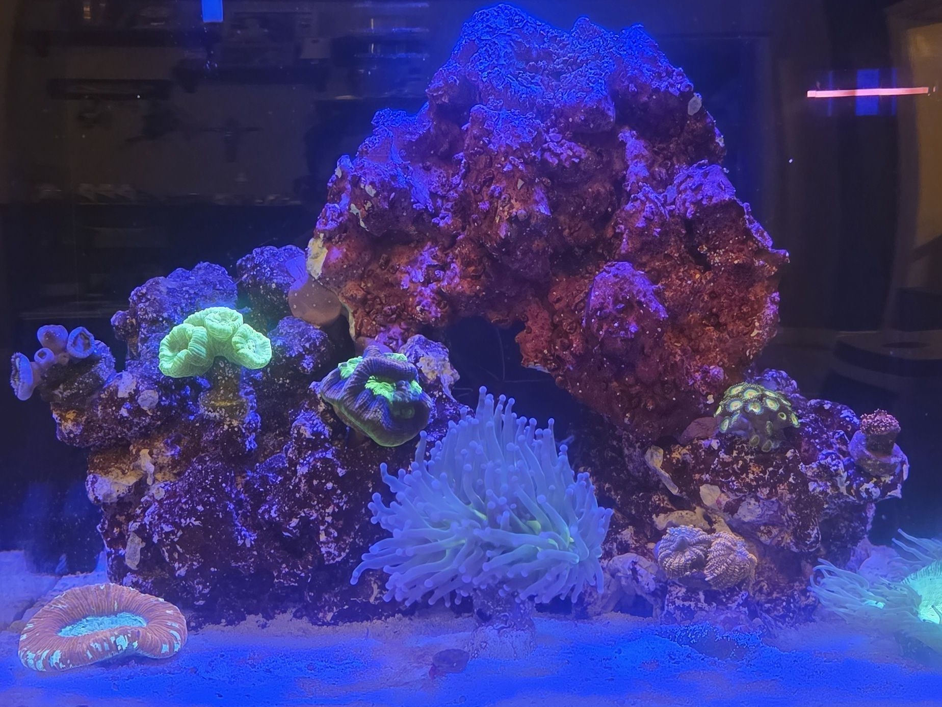 Tank Image
