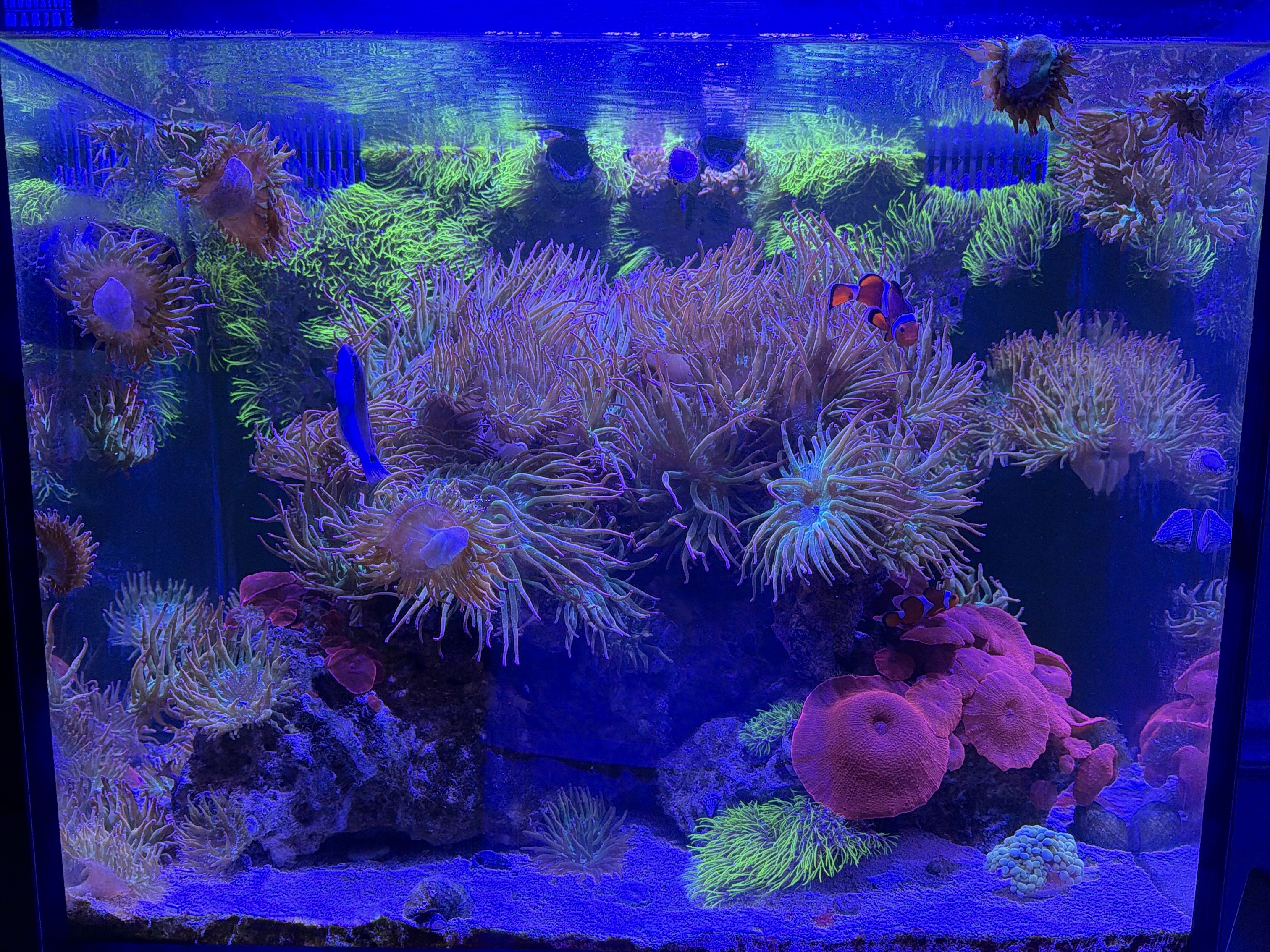 Tank Image