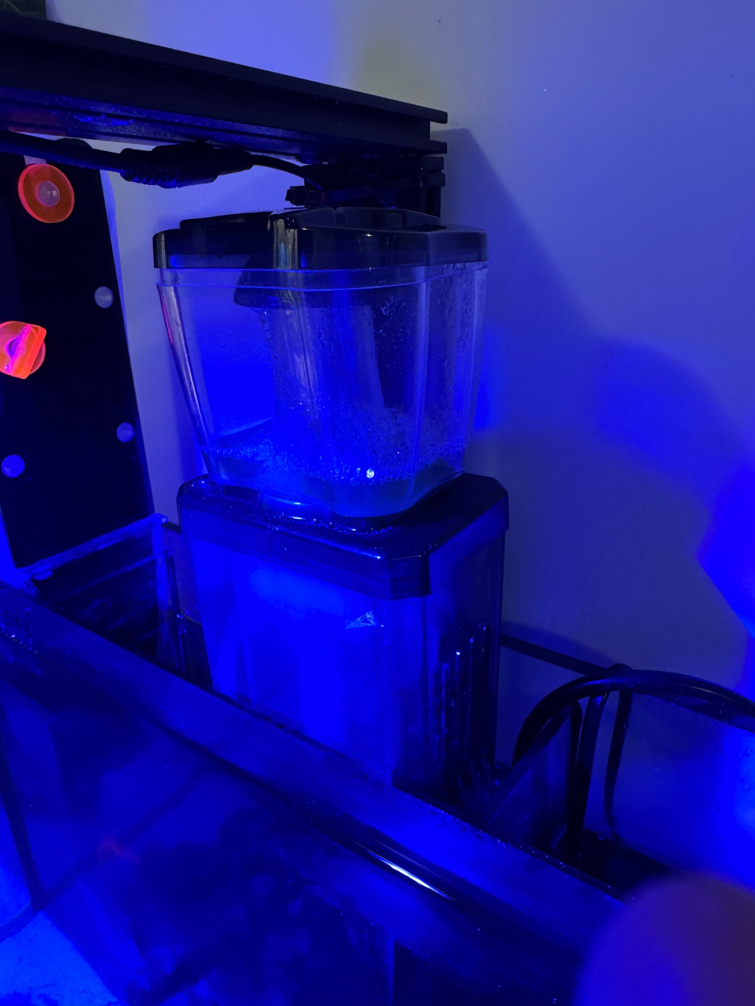 80L nano reef setup with filter roller and Jebao wavemaker - clownfish, copepods, phytoplankton (photo 3)