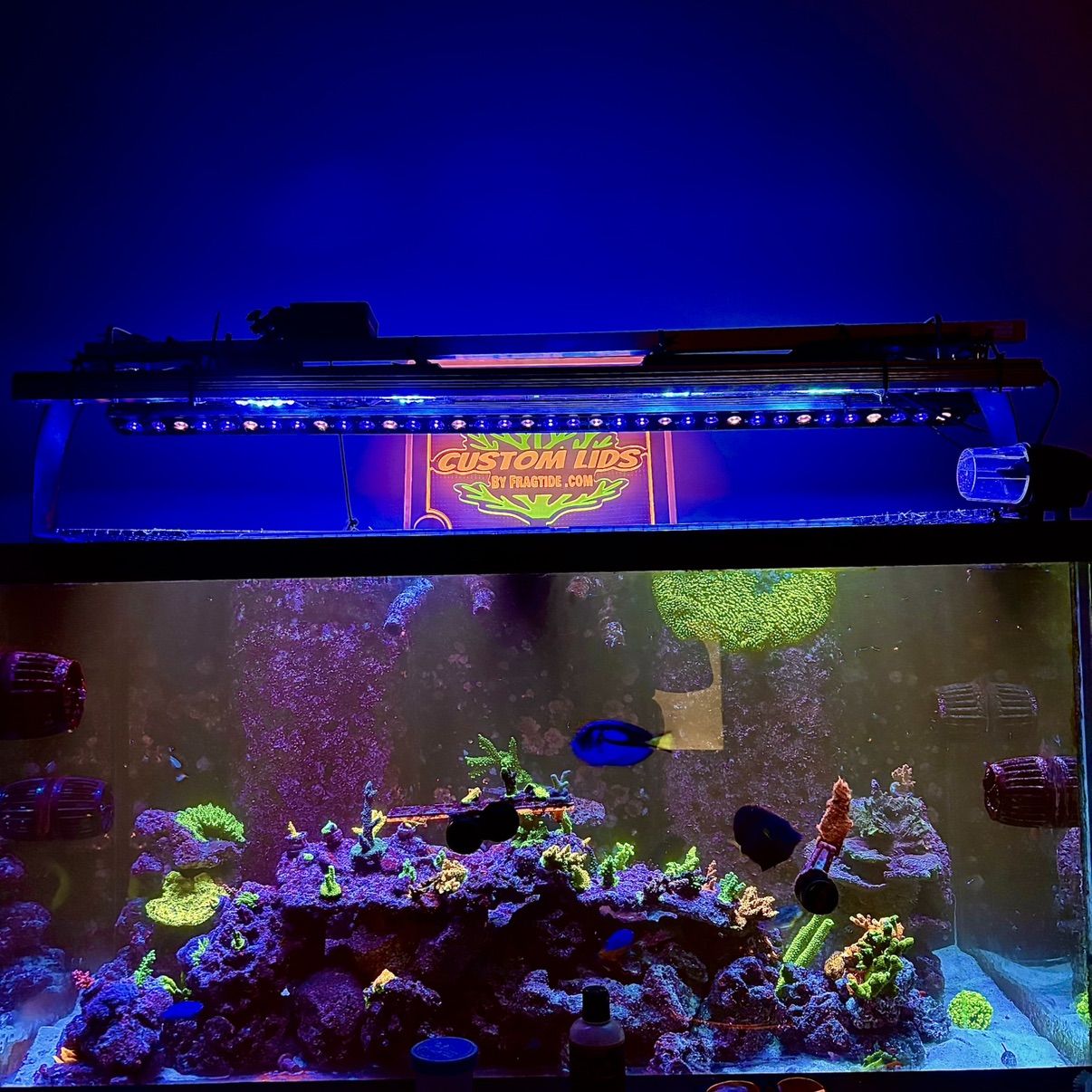 Tank Image