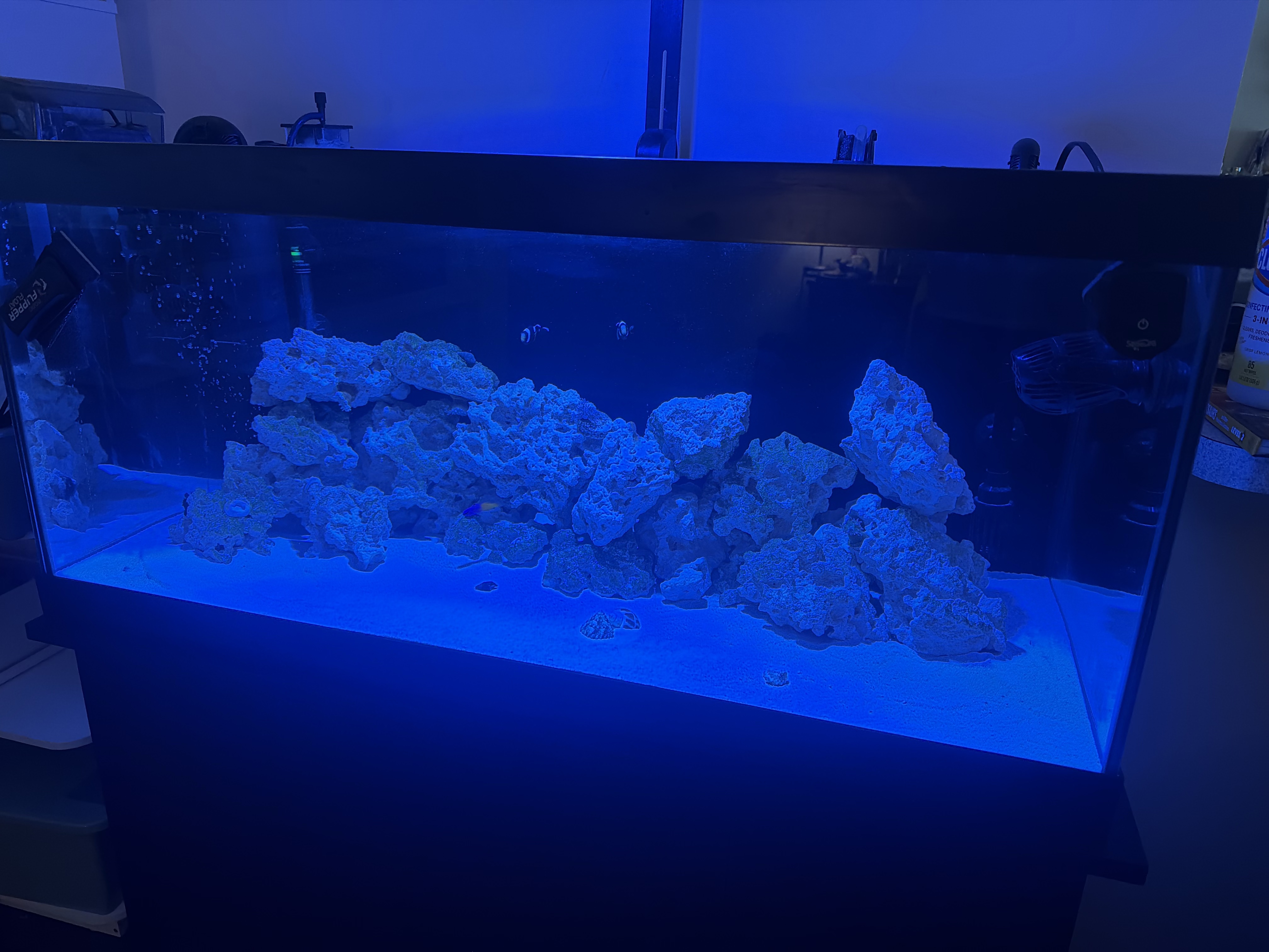 Tank Image
