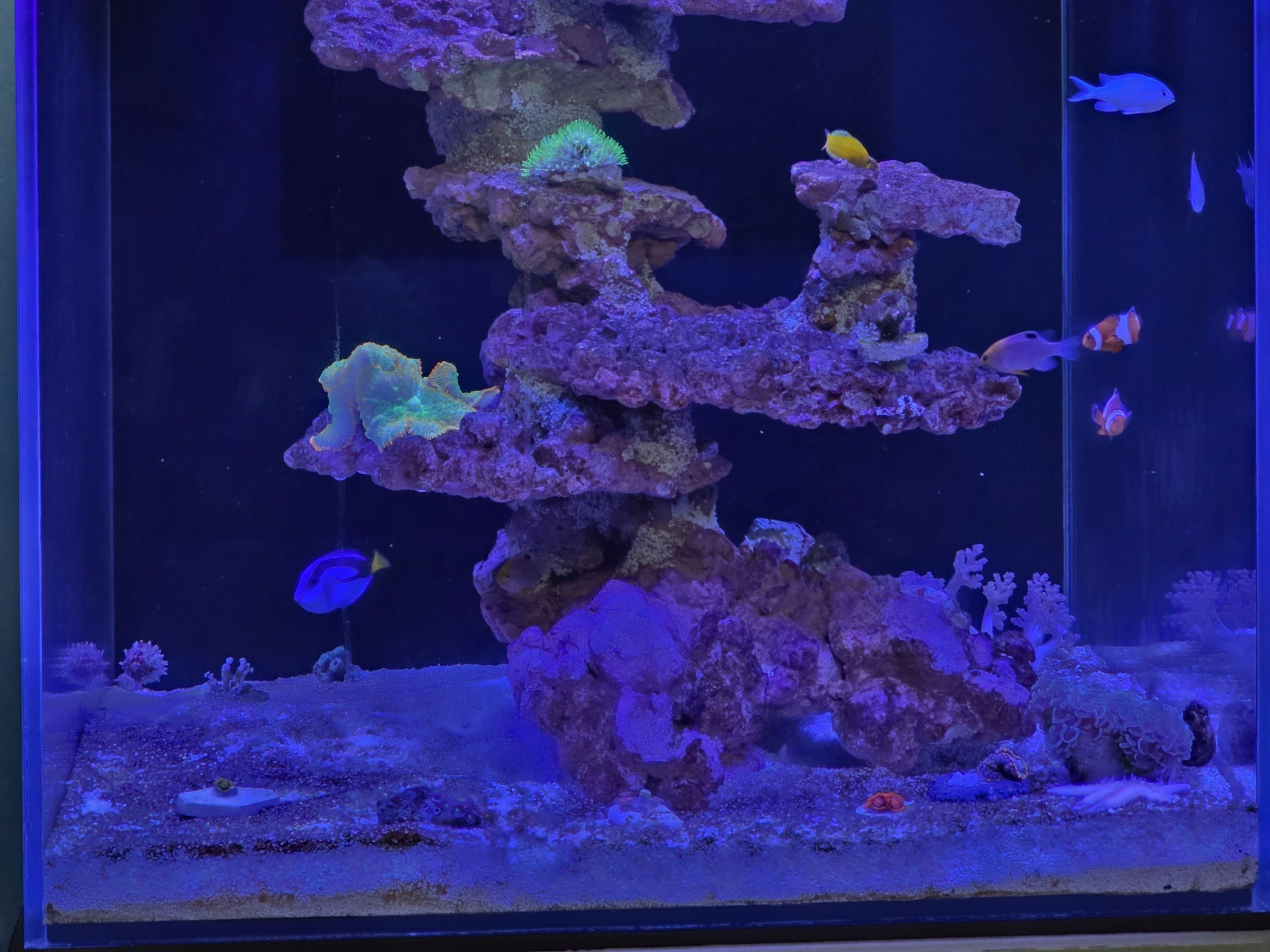 Tank Image