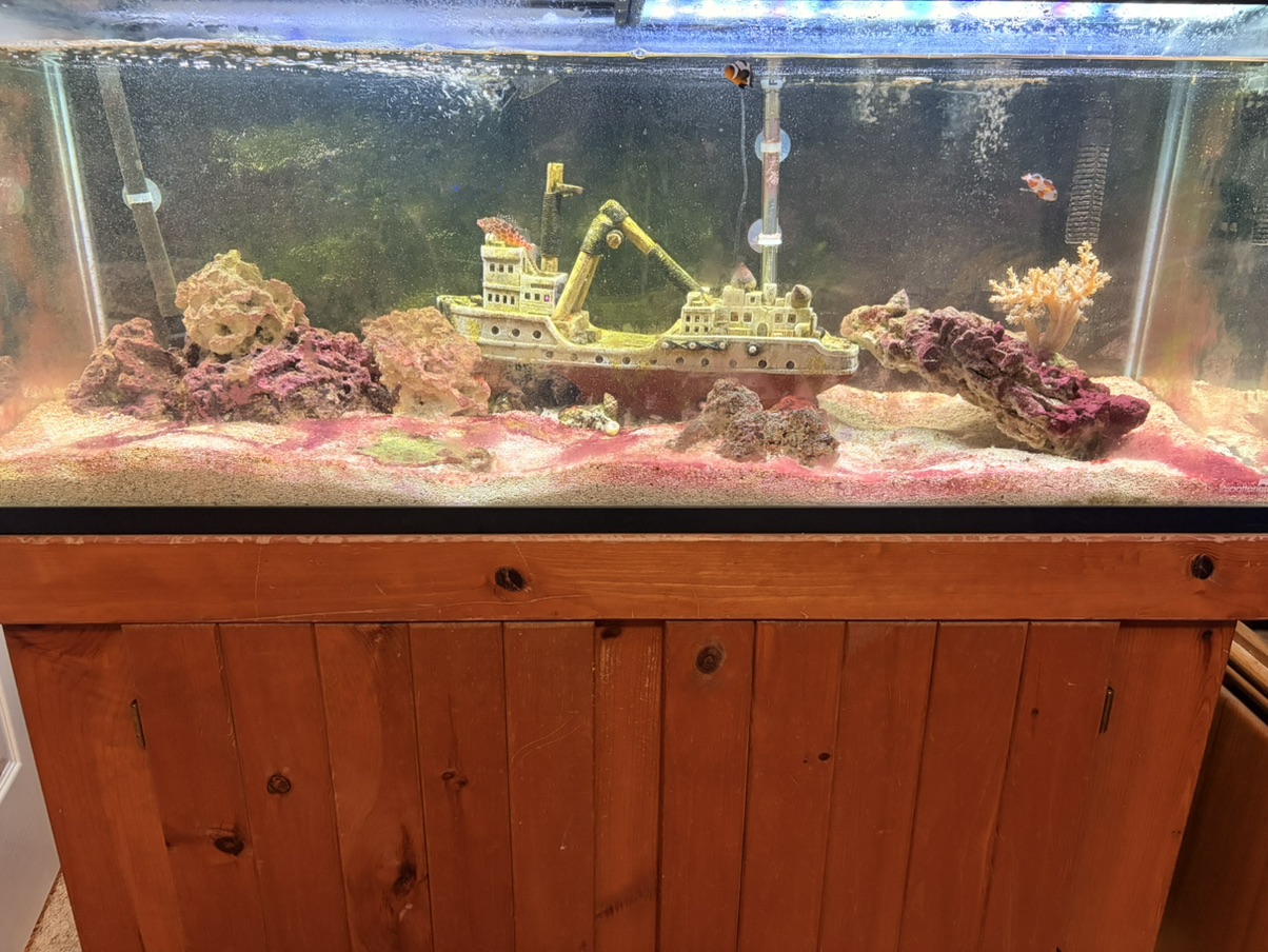 What can I use to clean the outside glass on my tank? There are some s...