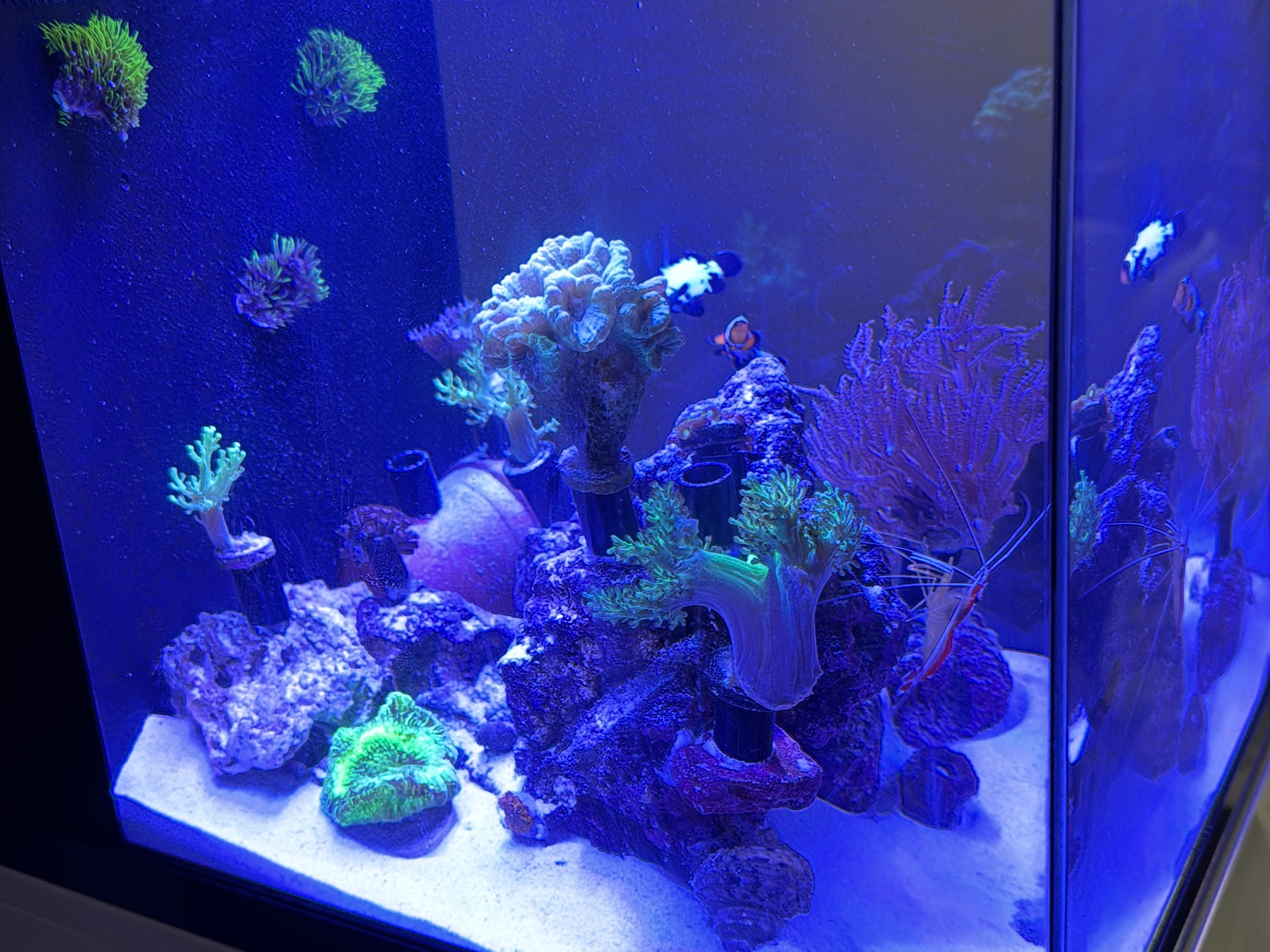 Tank Image