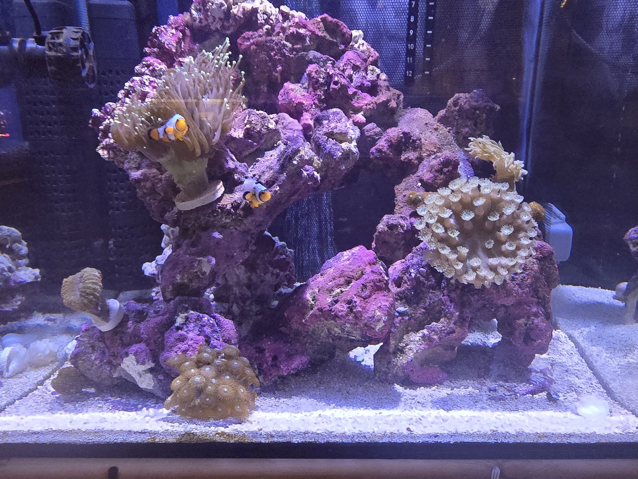 Tank Image