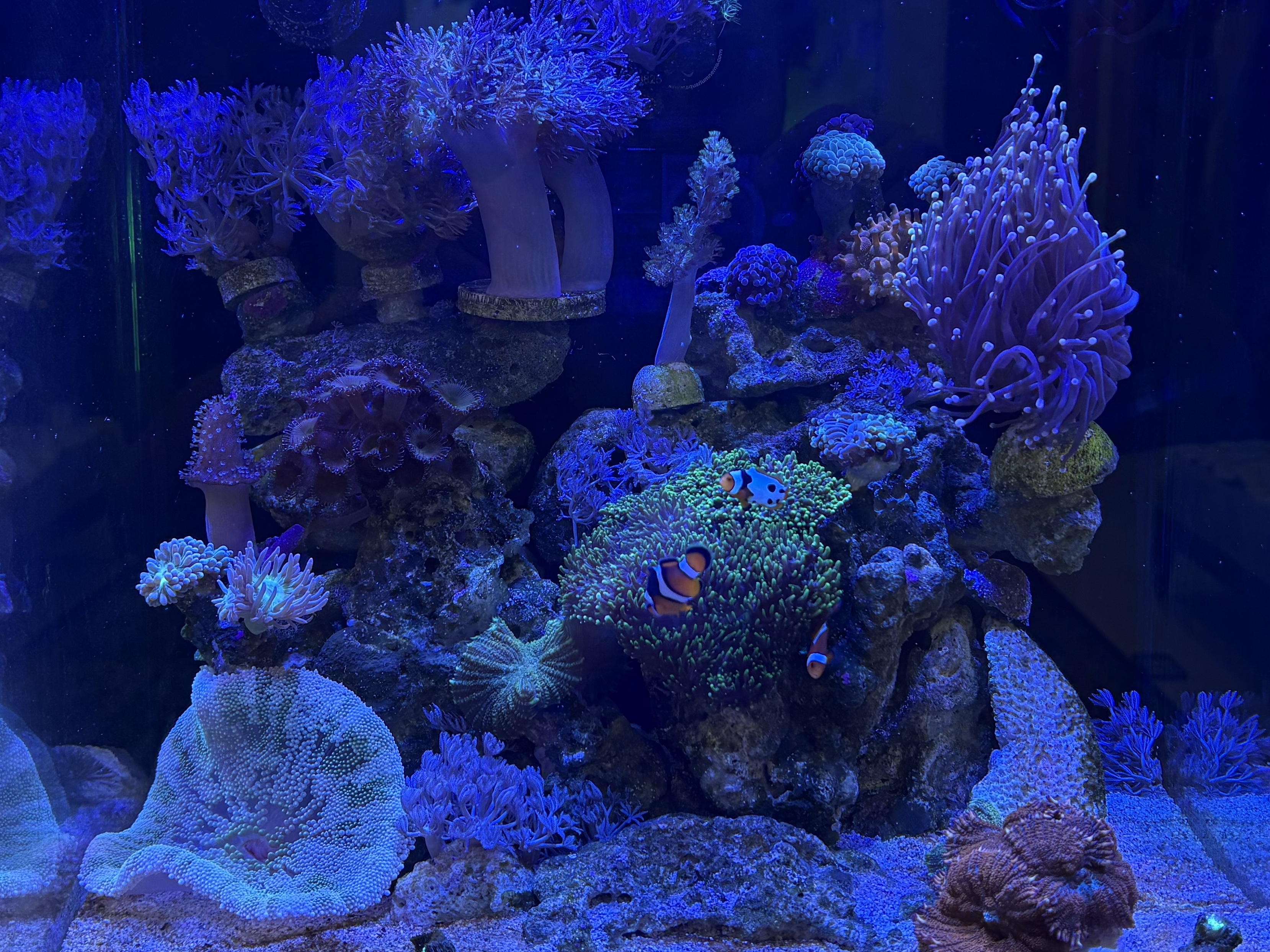 Tank Image