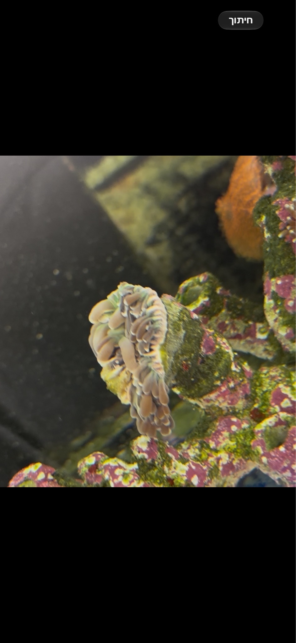 I’m looking for some help—I’d like to know what might be causing the t...