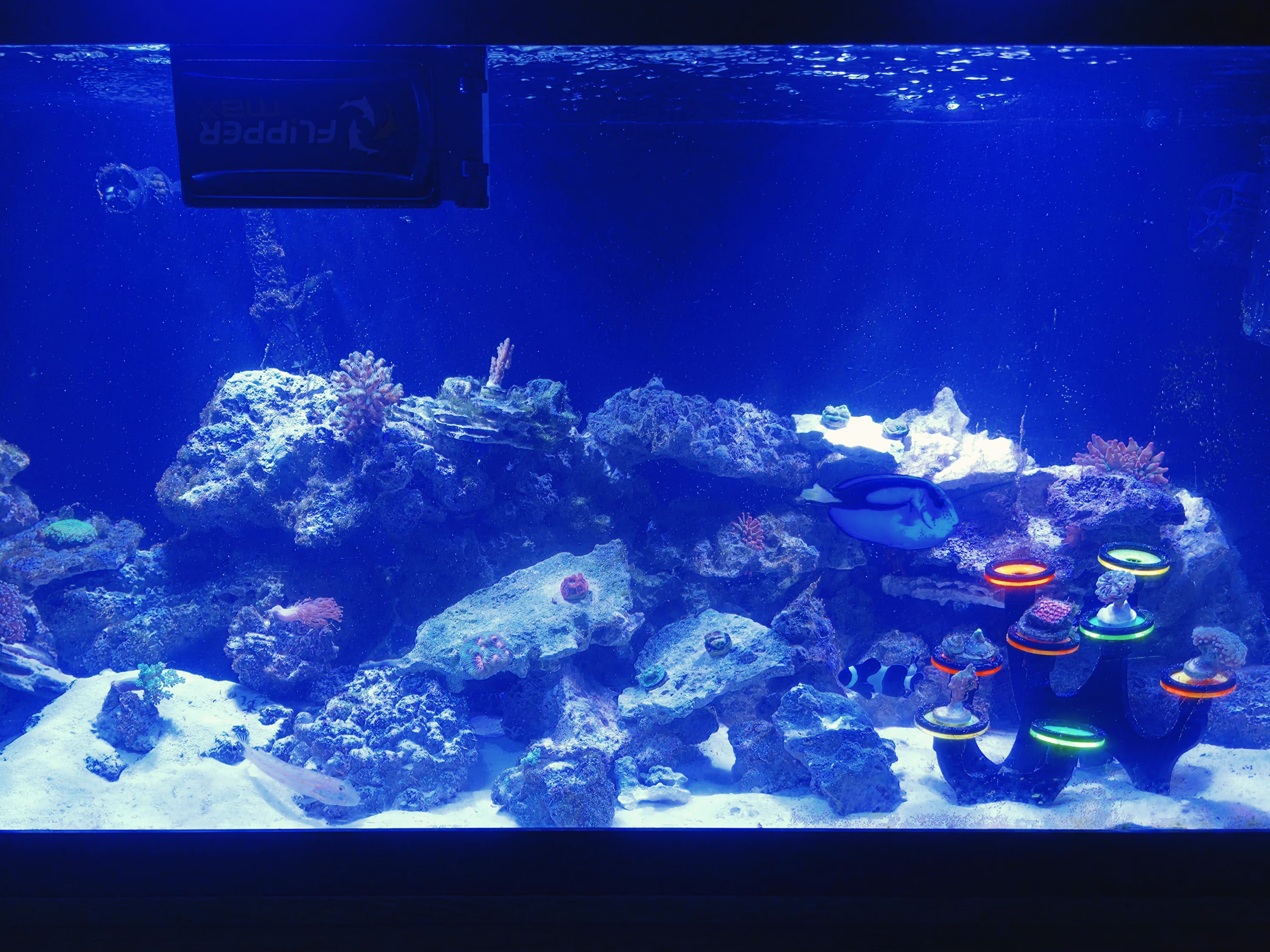 Tank Image
