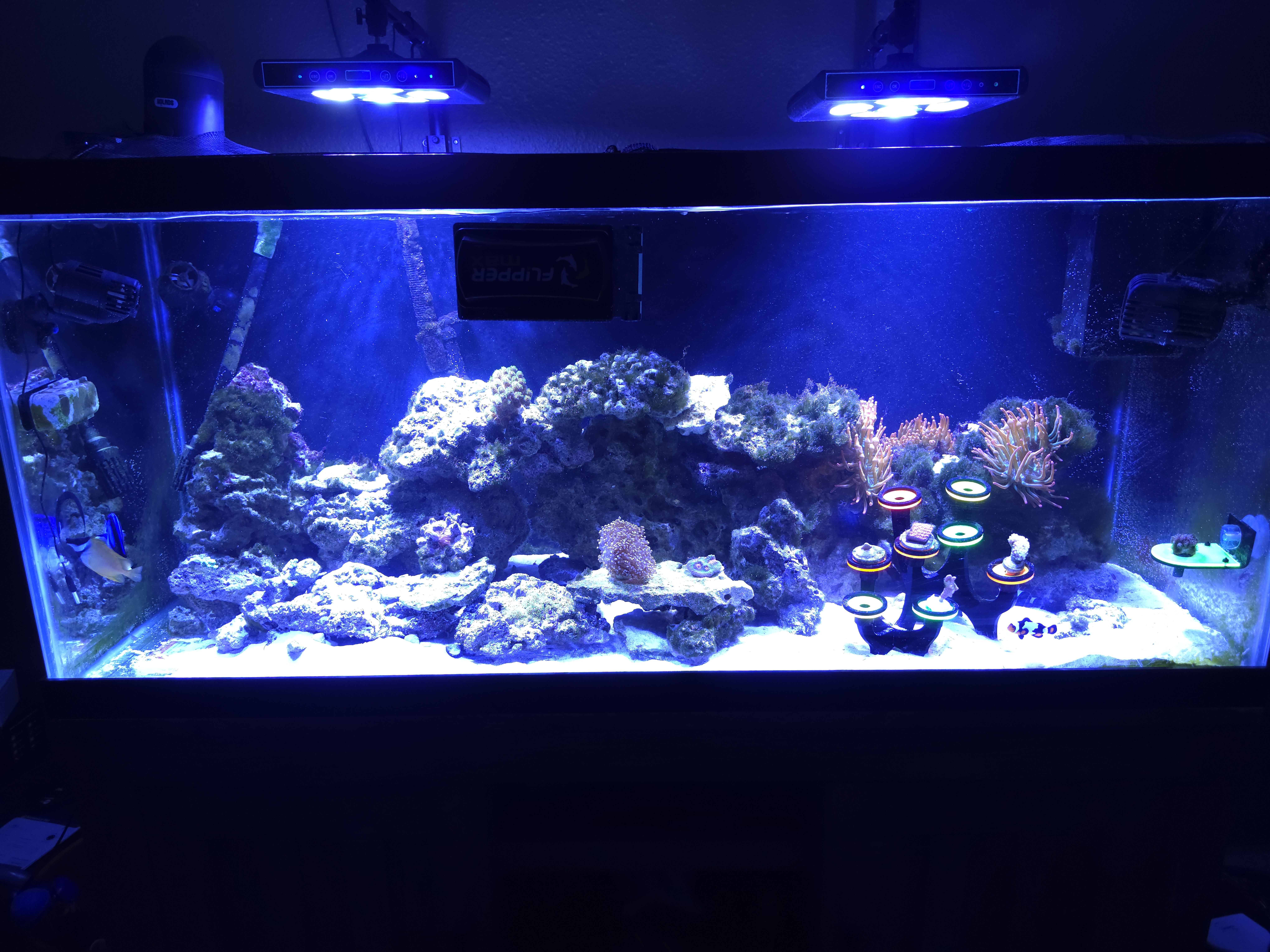 Tank Image