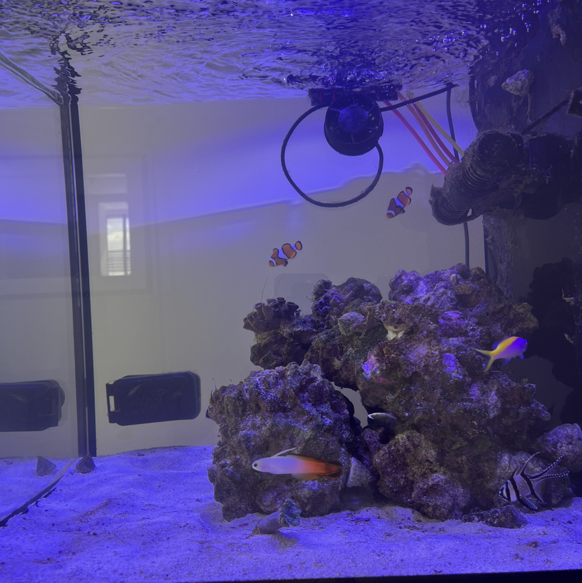 Tank Image