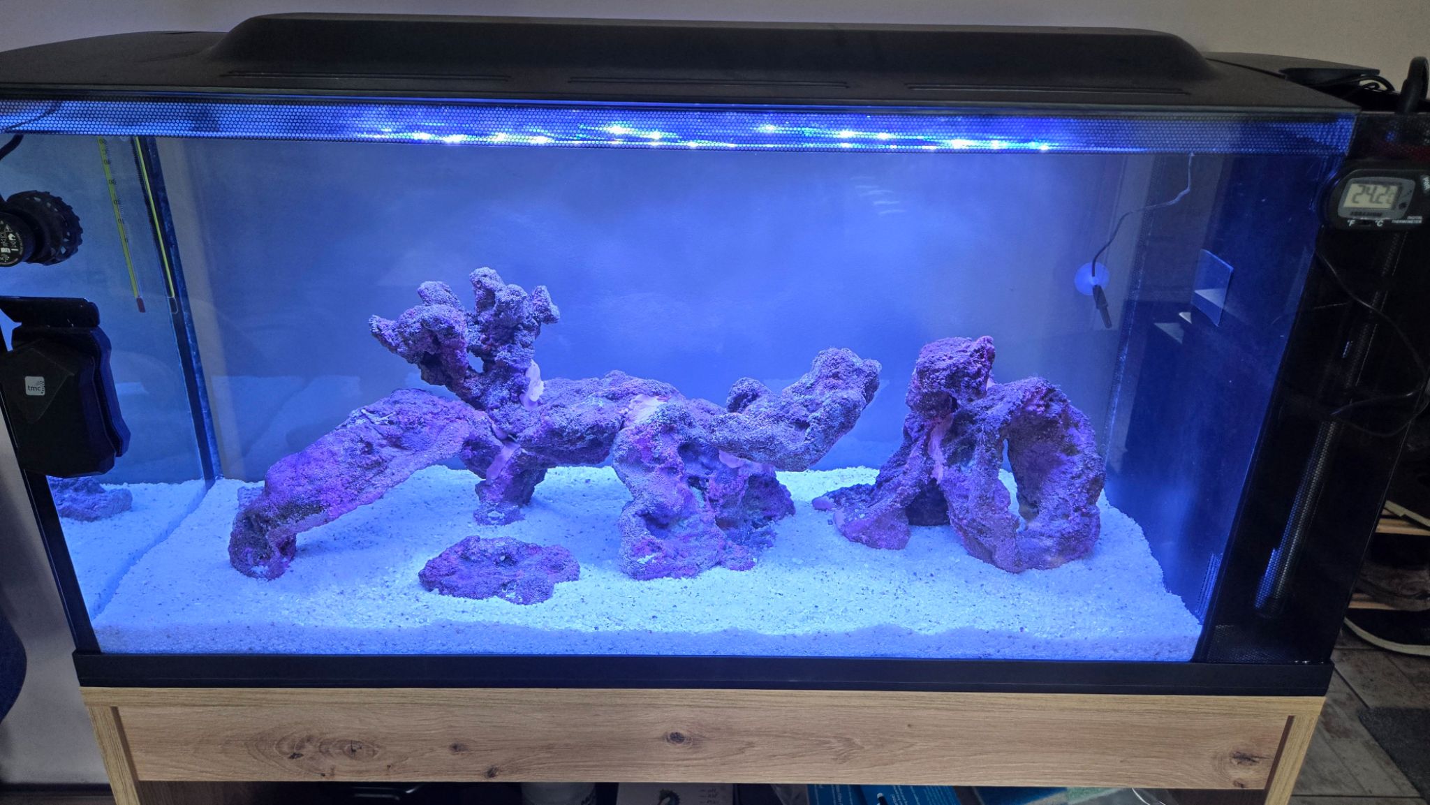 First reef tank setup with live rock and sand on 15 August