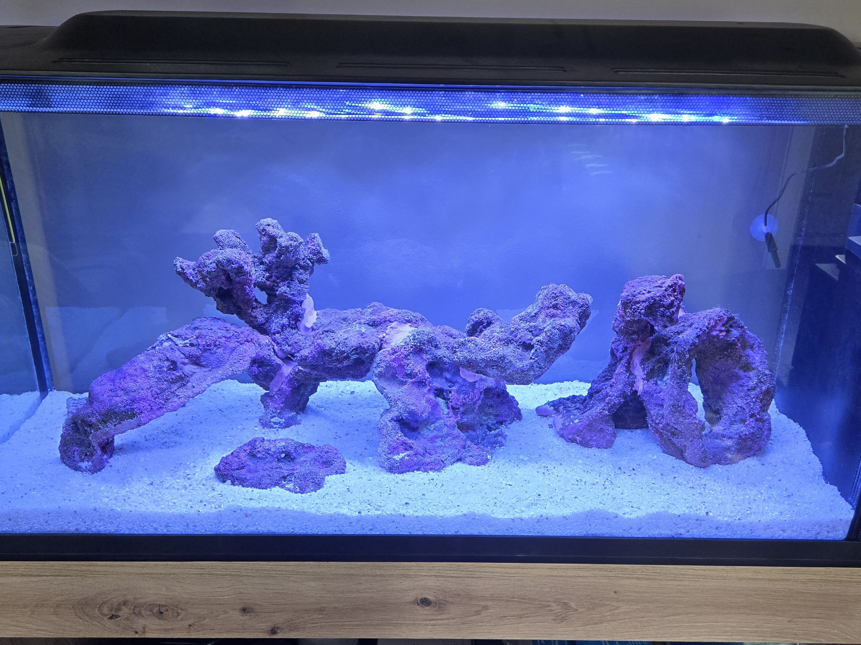Tank Image