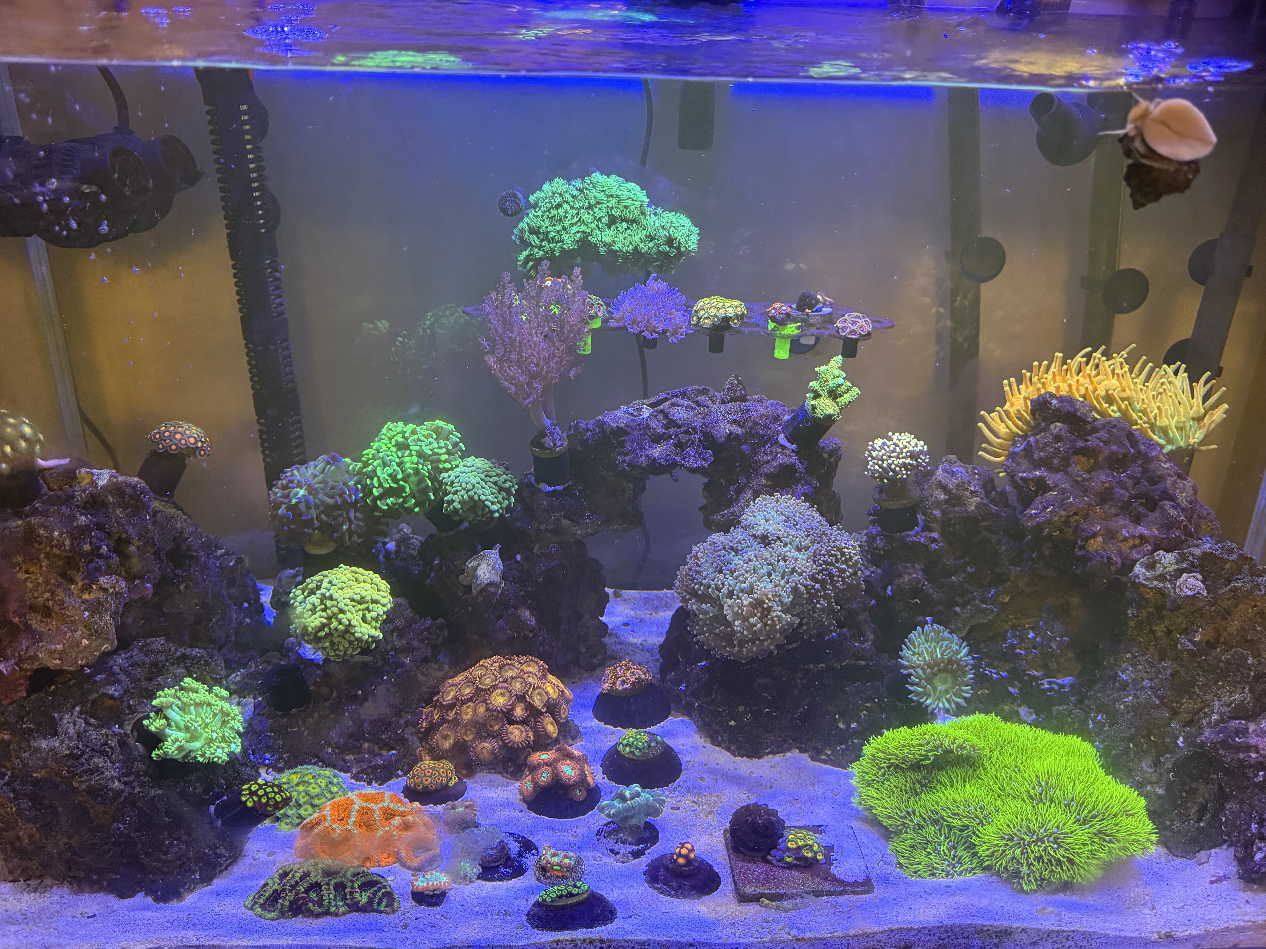 Tank Image