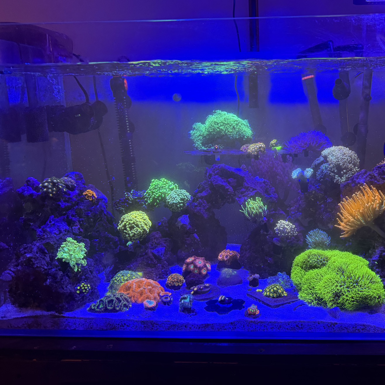 Tank Image