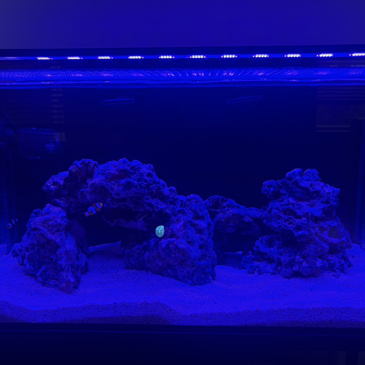 Tank Image