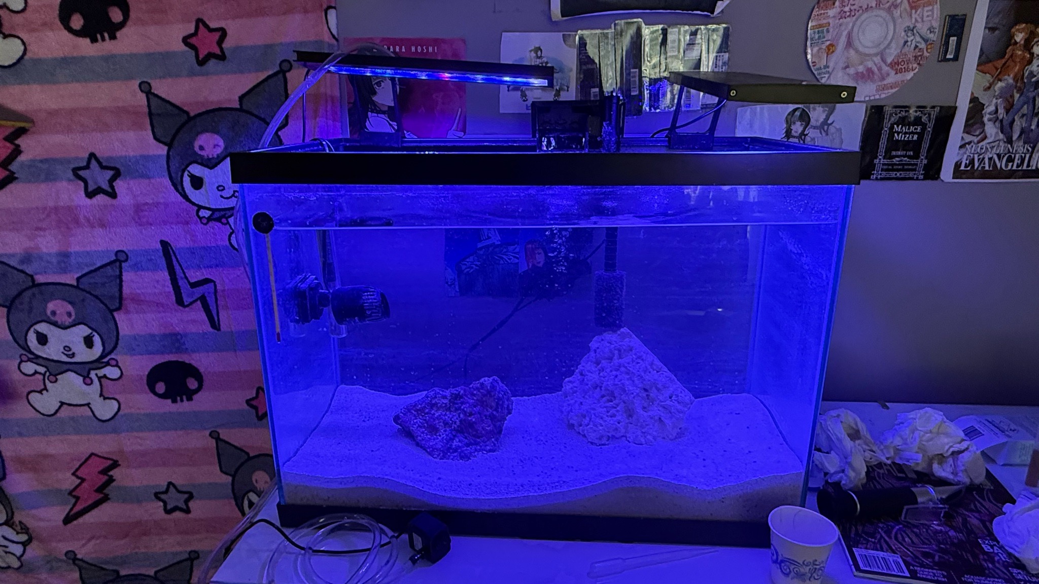 Cycling my tank right now. I only turned on the lights to show what it looks like. It will...
