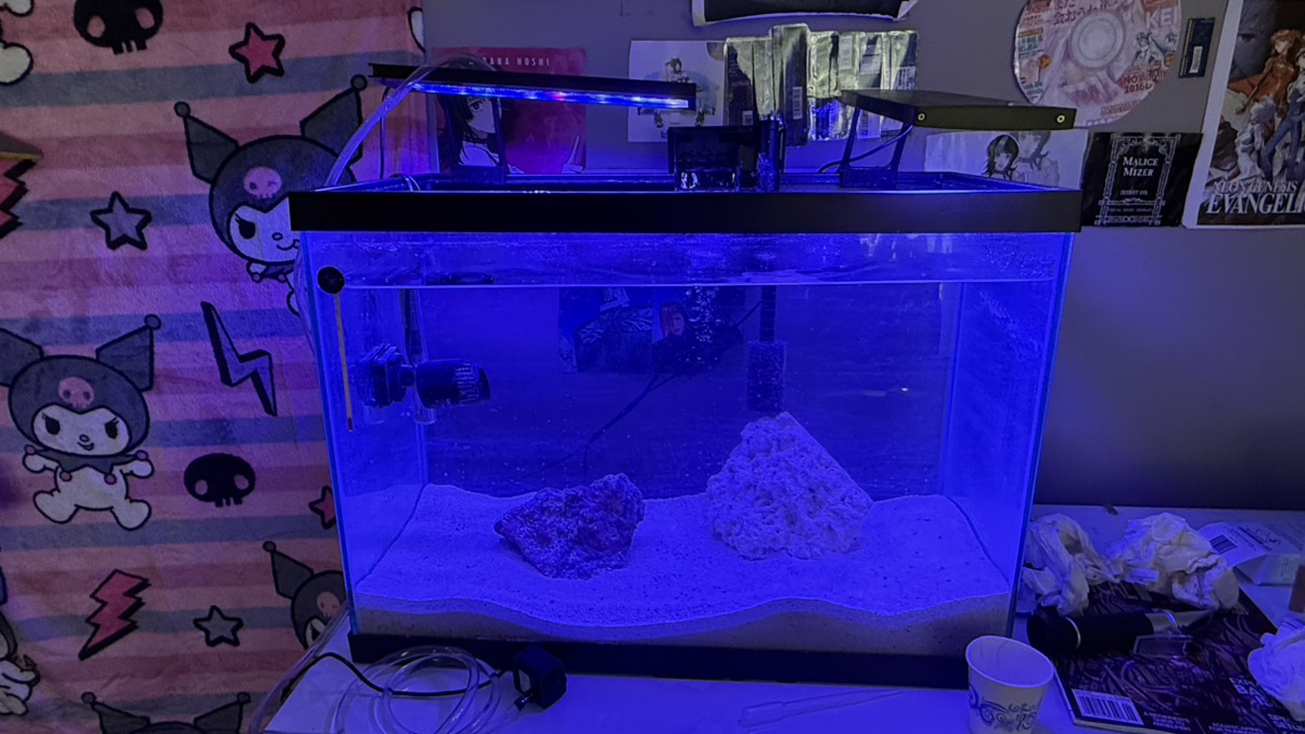 Tank Image