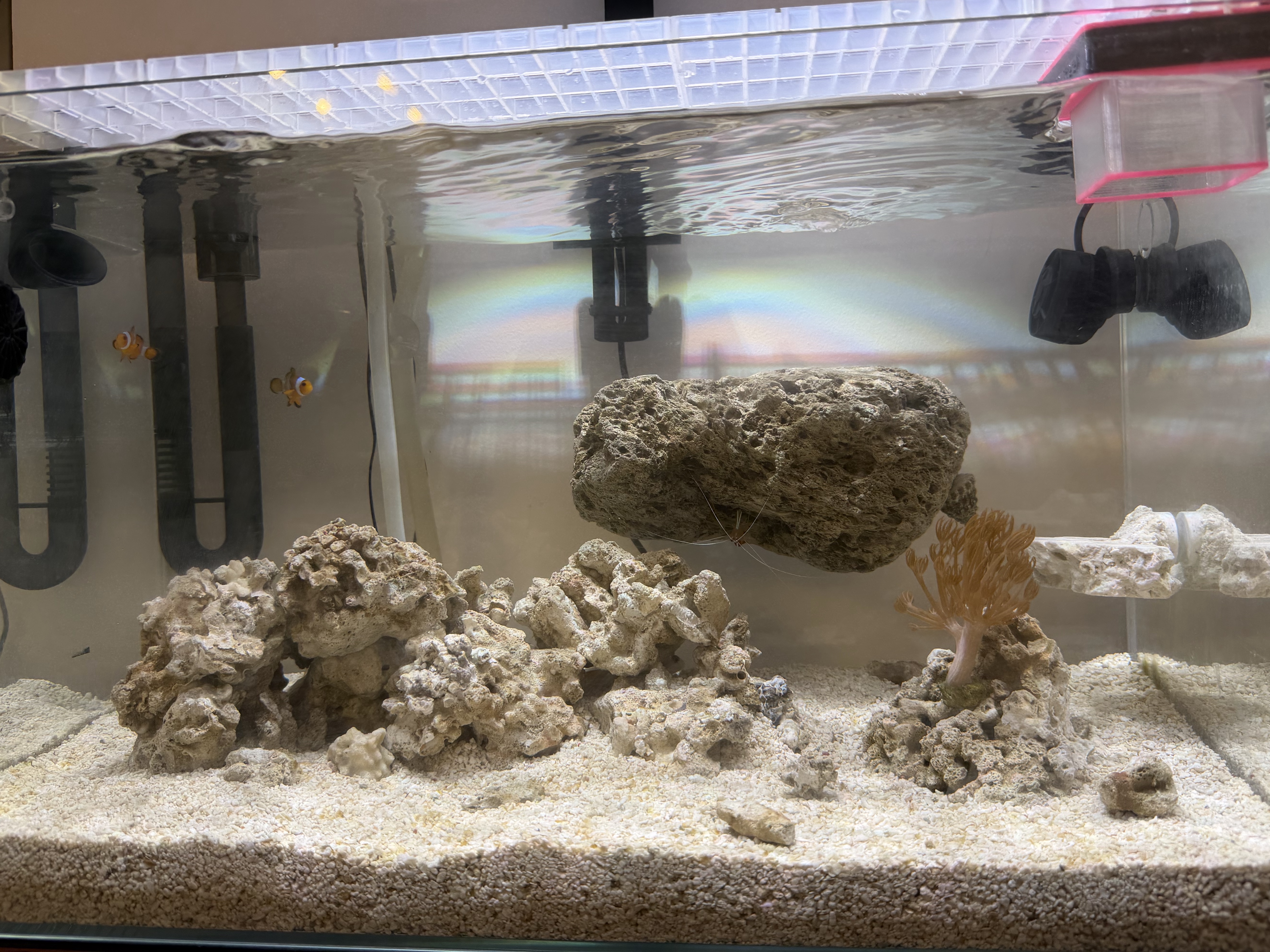 Tank Image