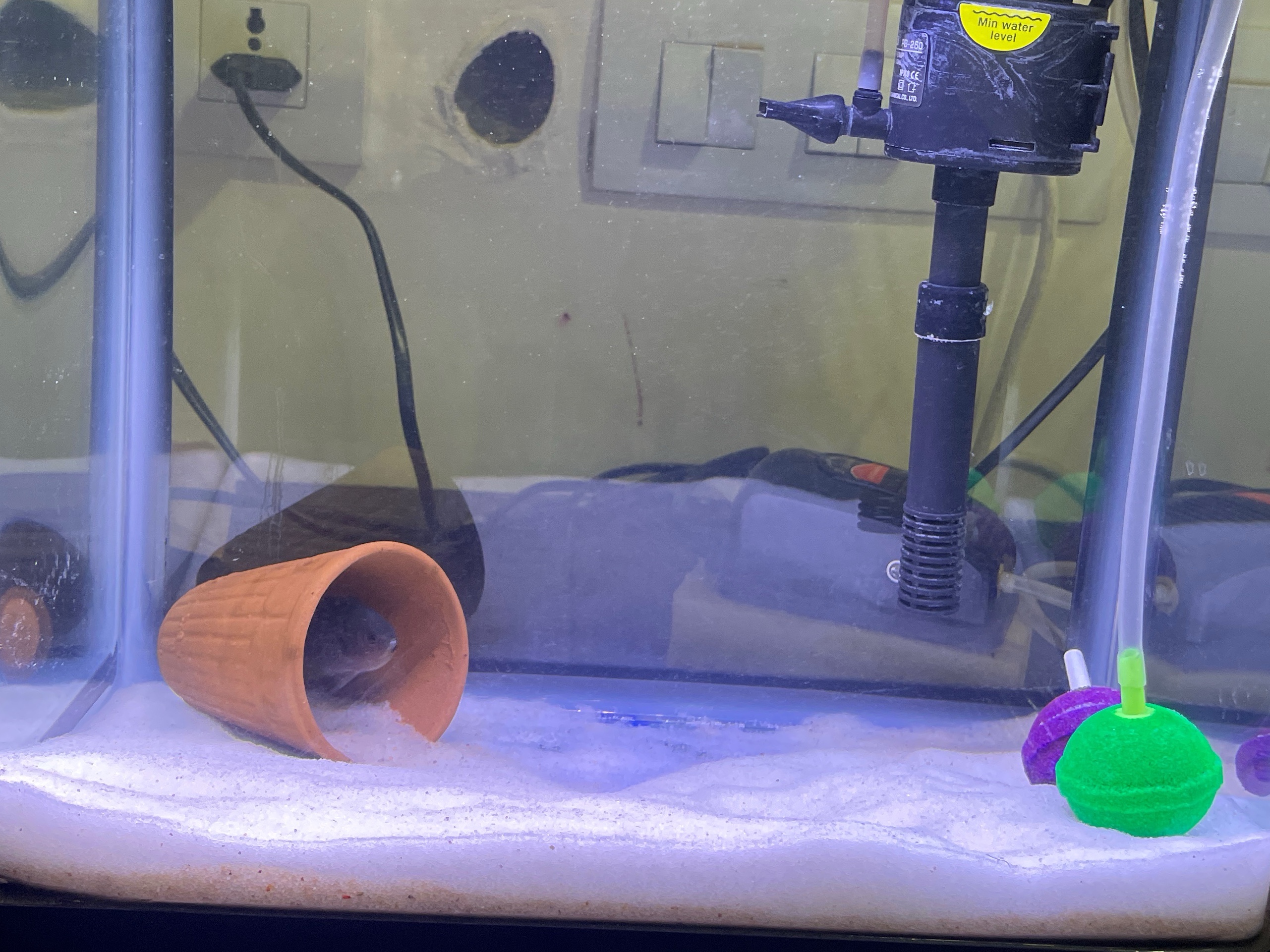Tank Image