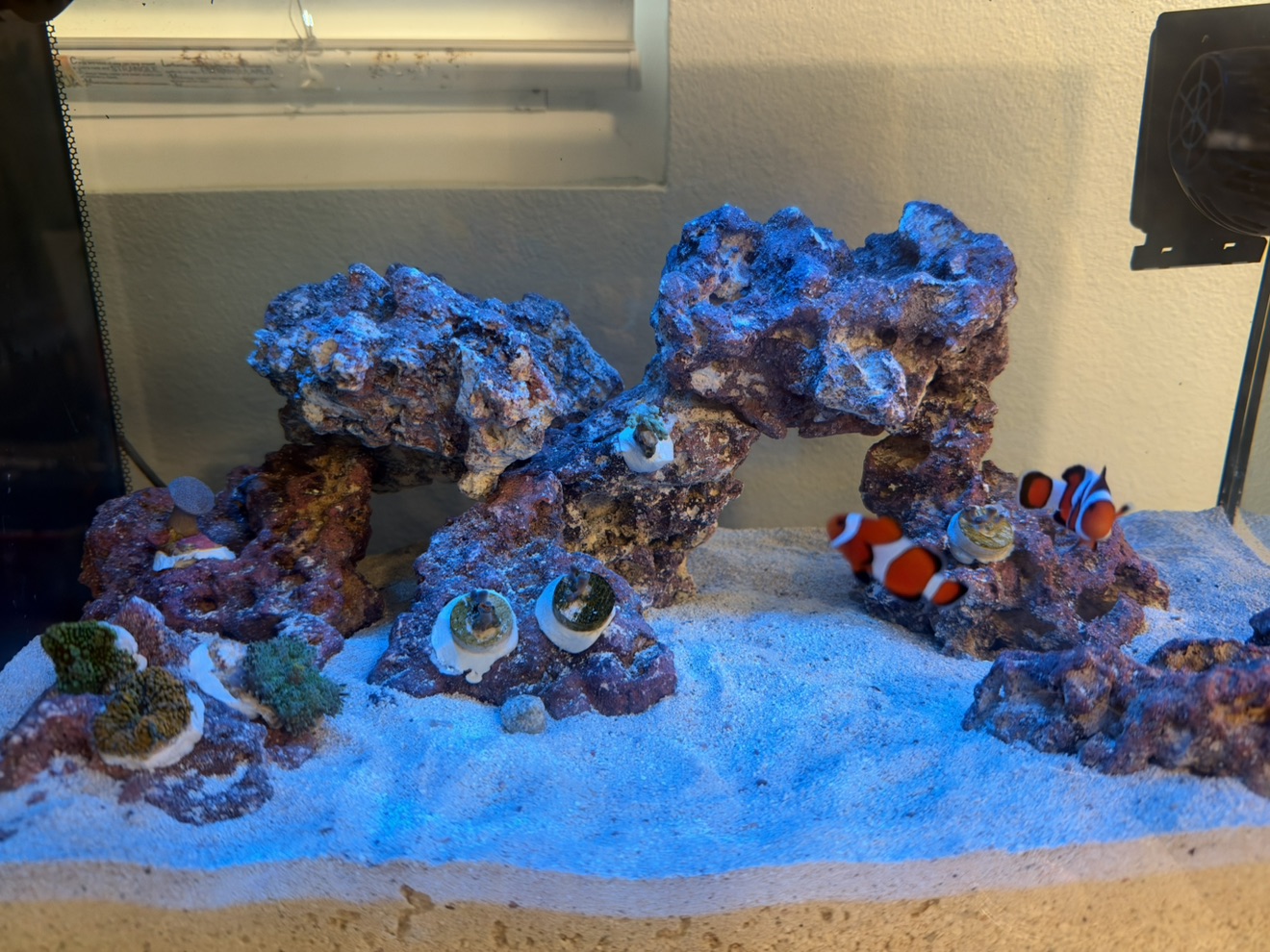 Tank Image