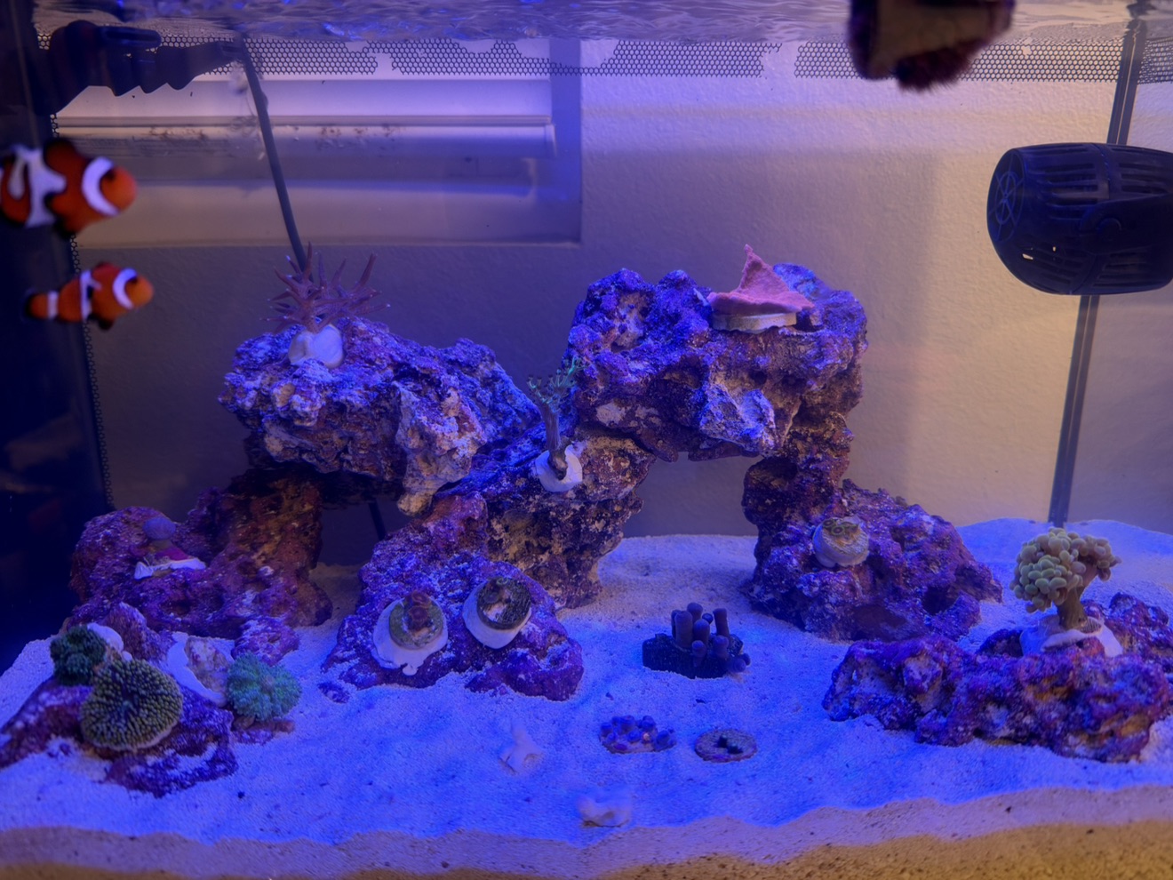 Tank Image