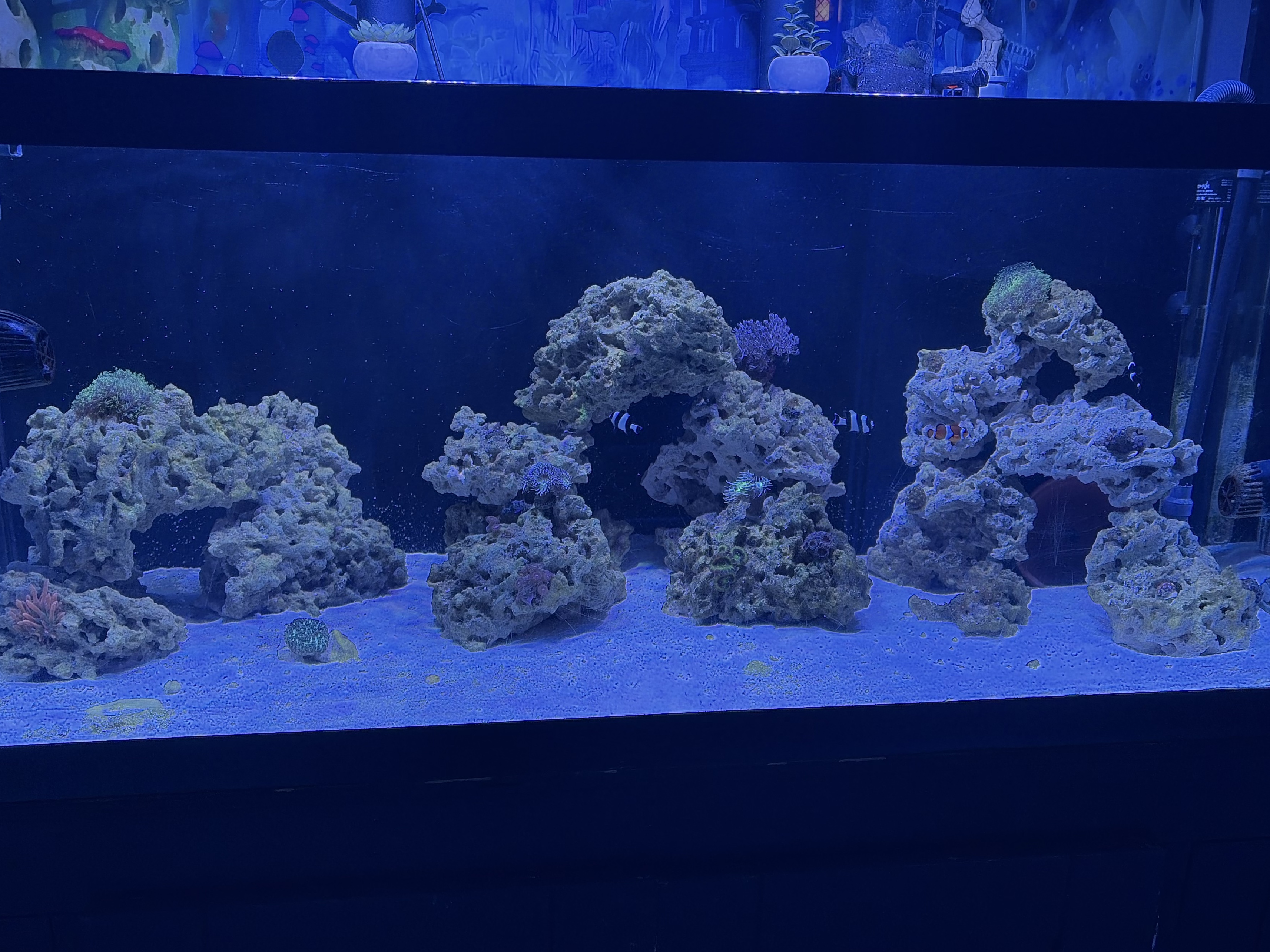 Tank Image