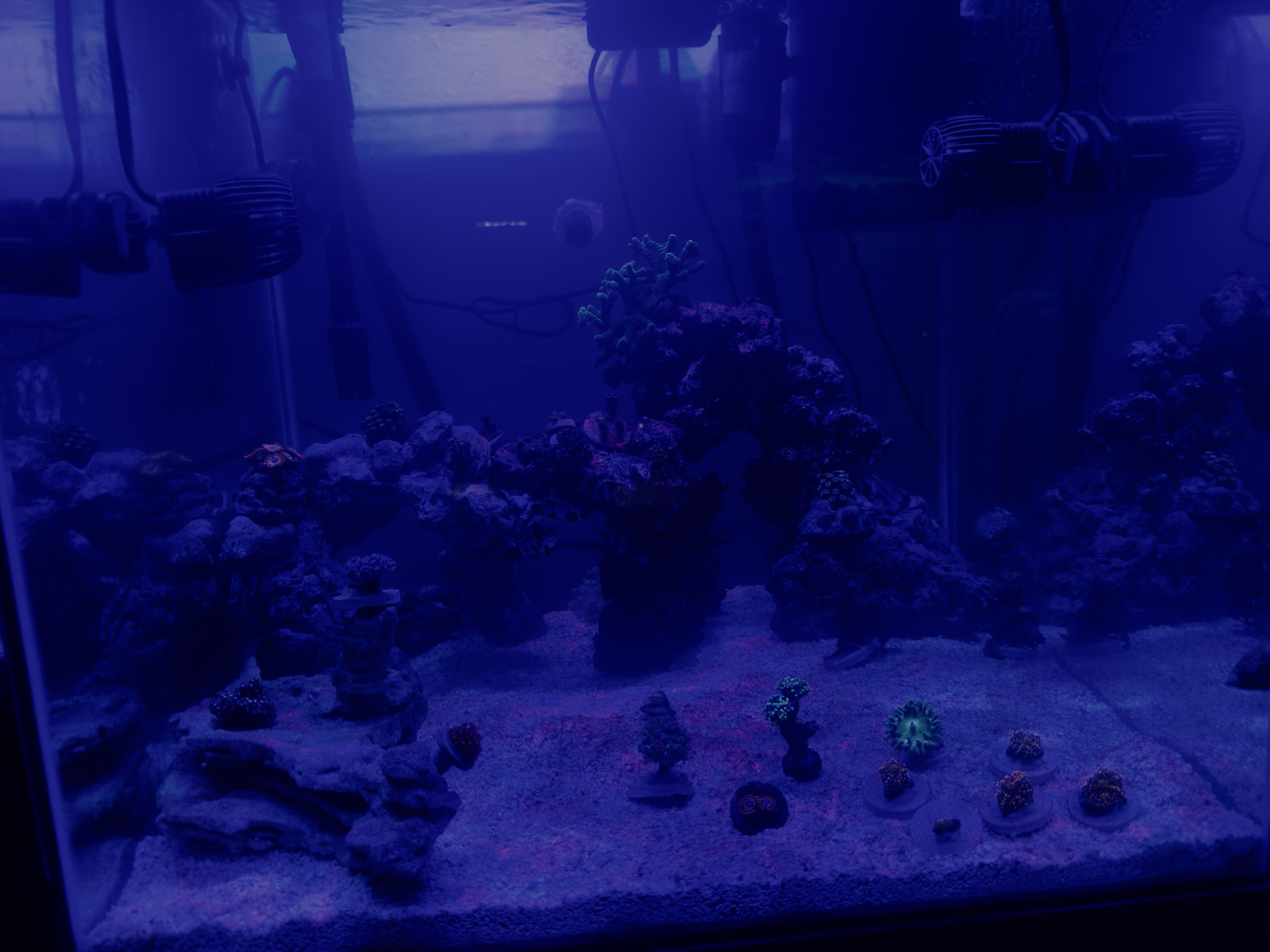 Tank Image