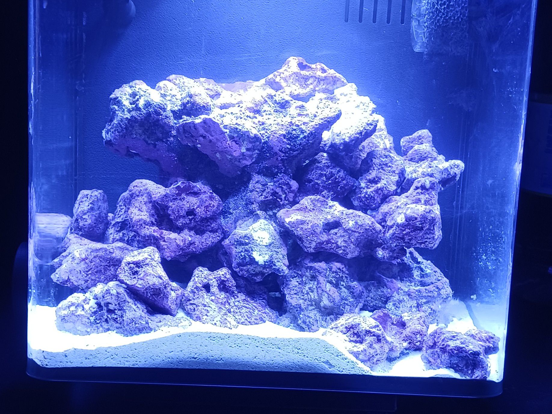 Tank Image