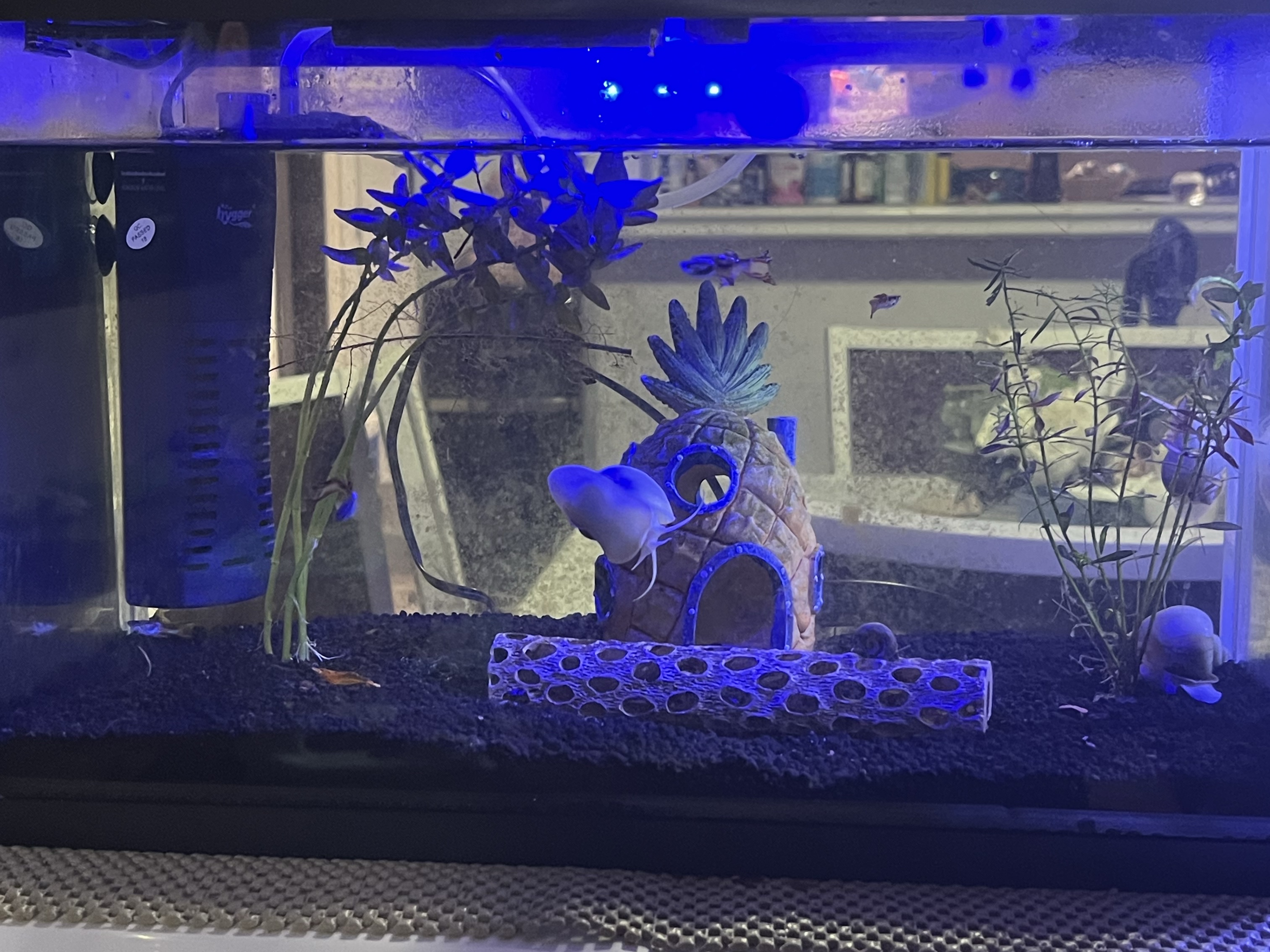 Tank Image