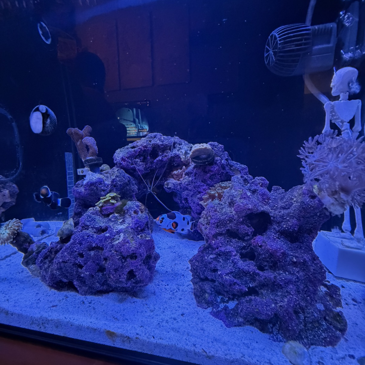 Tank Image