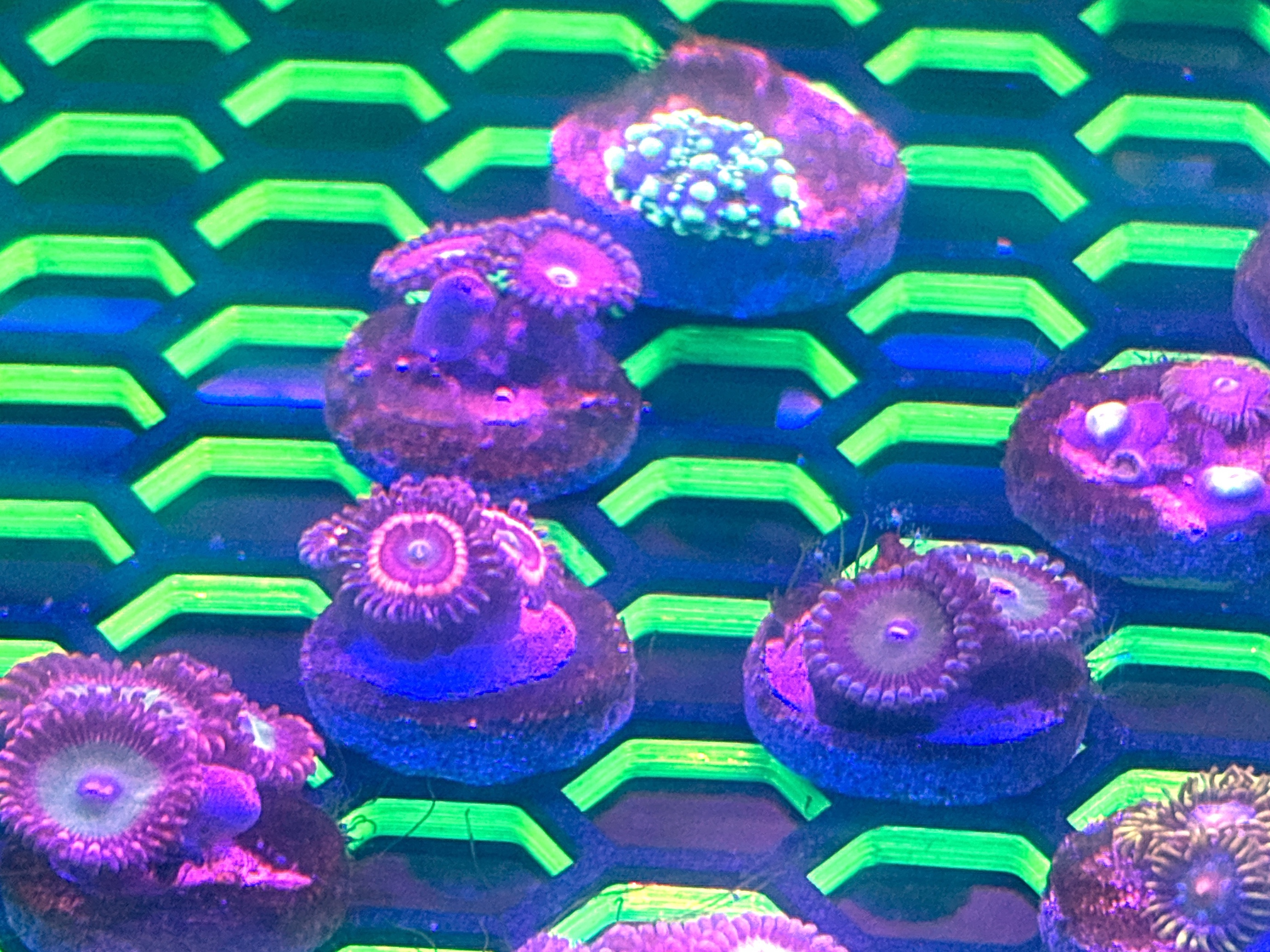 Tank Image