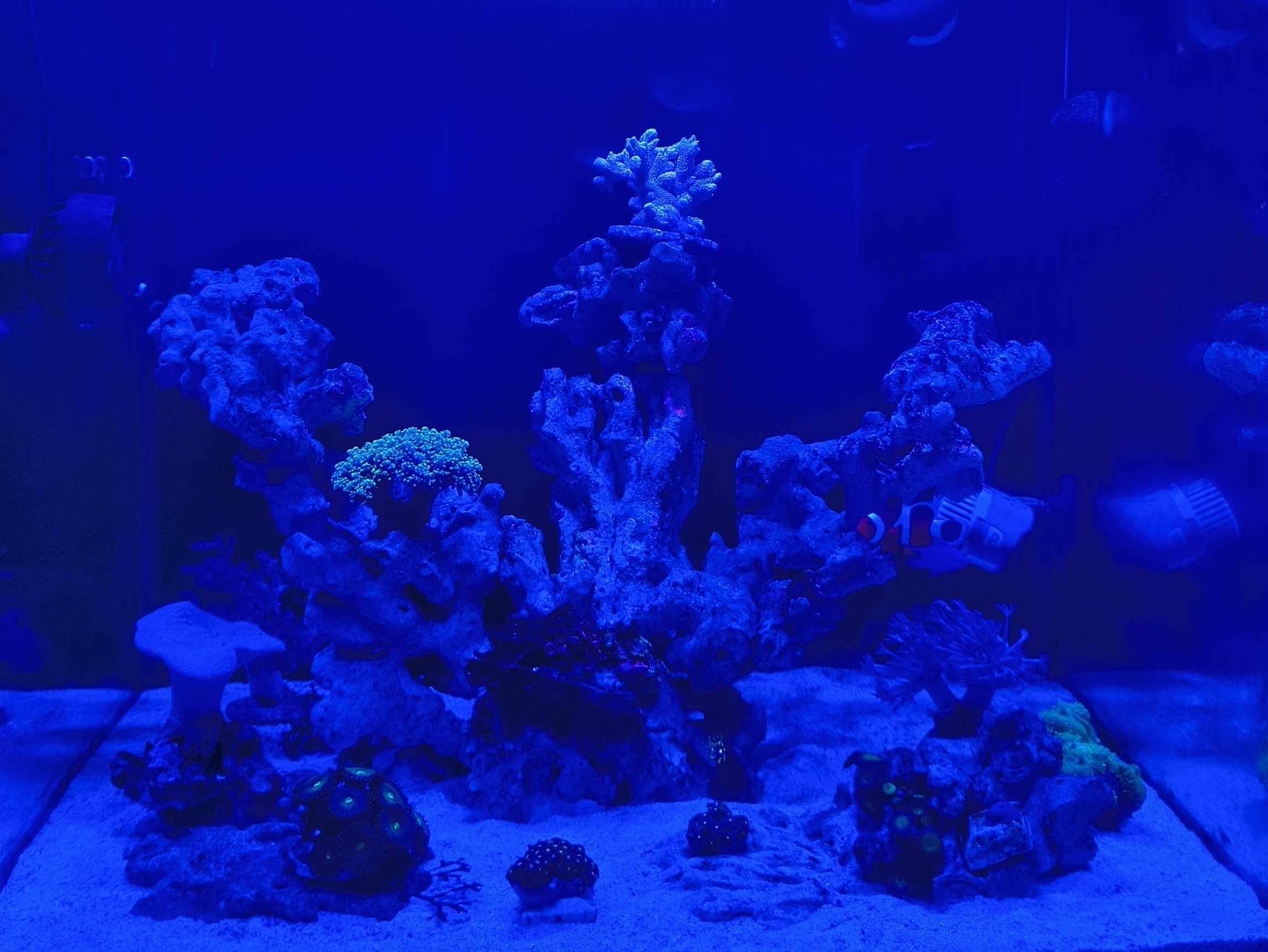 Tank Image