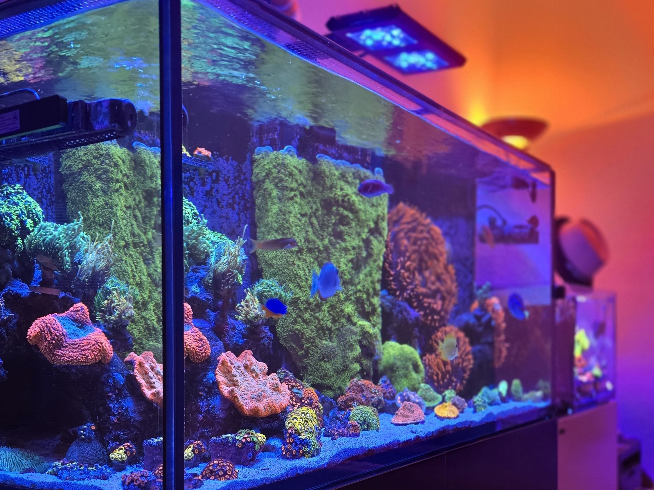 Tank Image