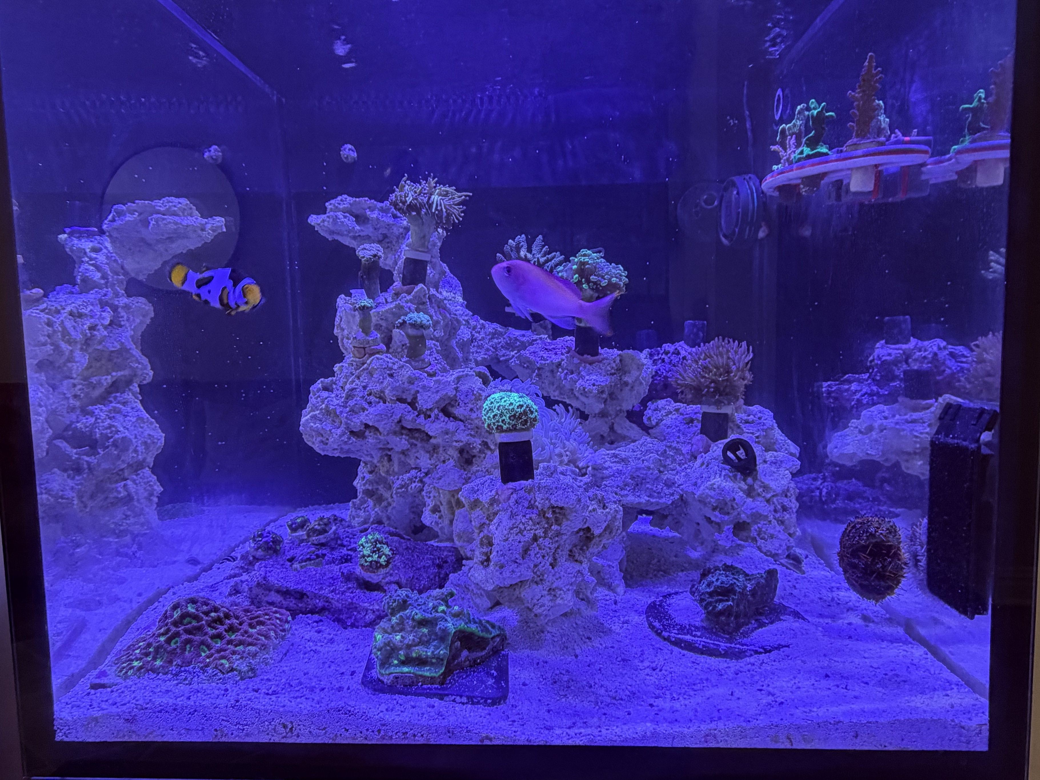 Tank Image