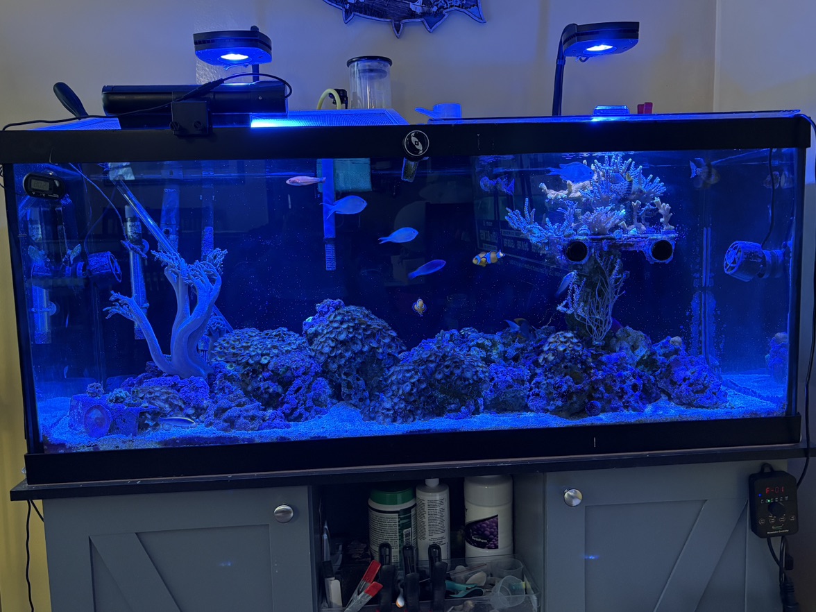 Tank Image