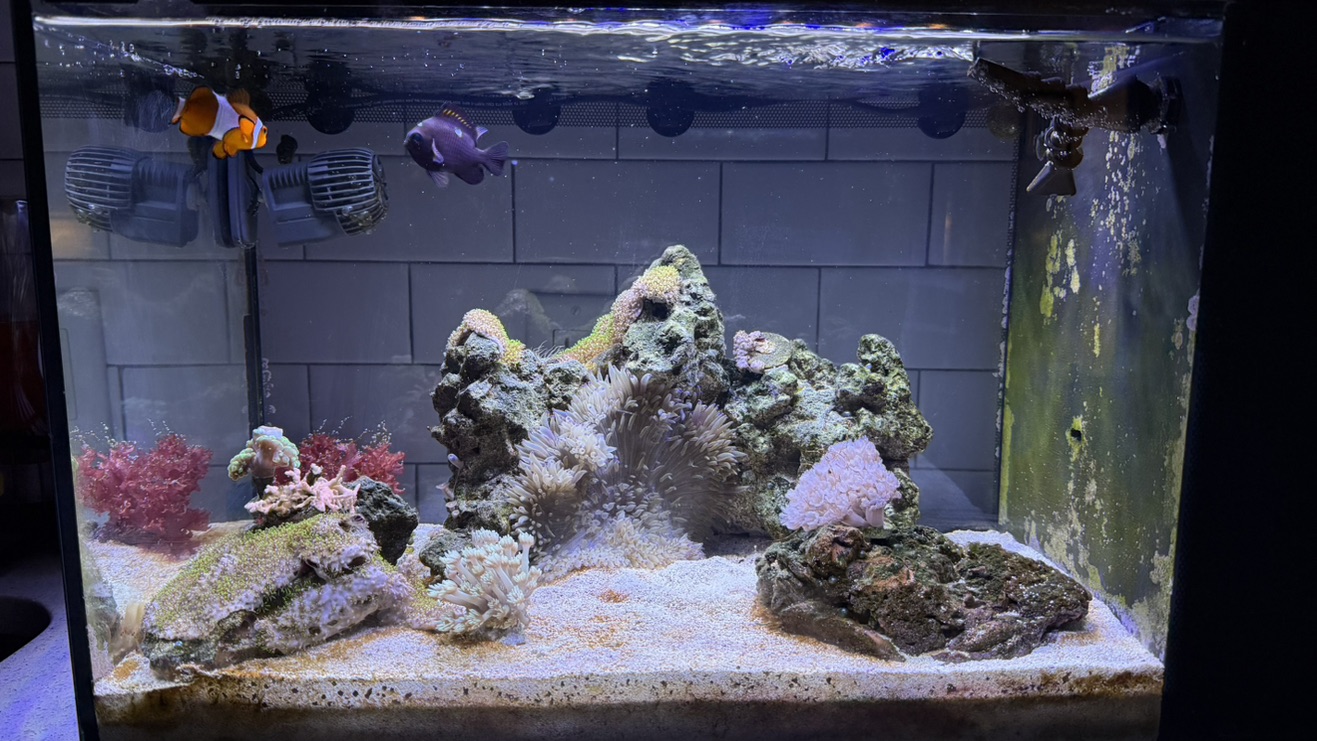 Tank Image