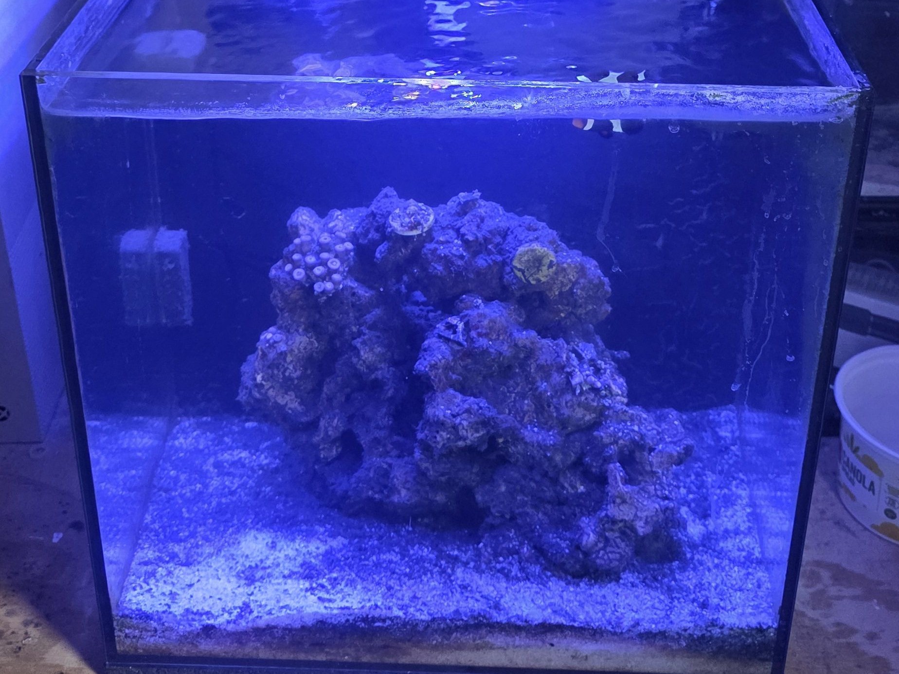 Tank Image