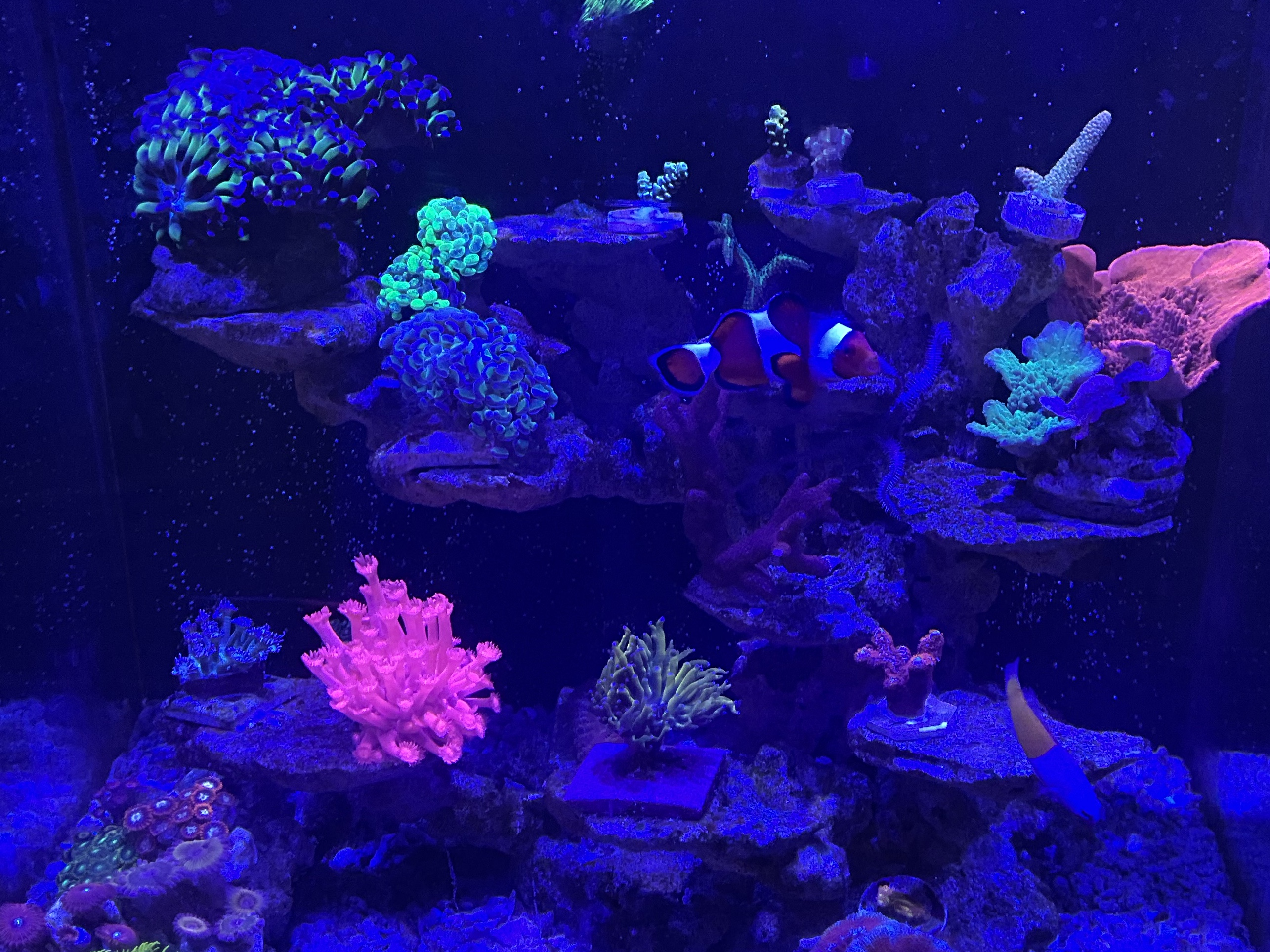 Tank Image