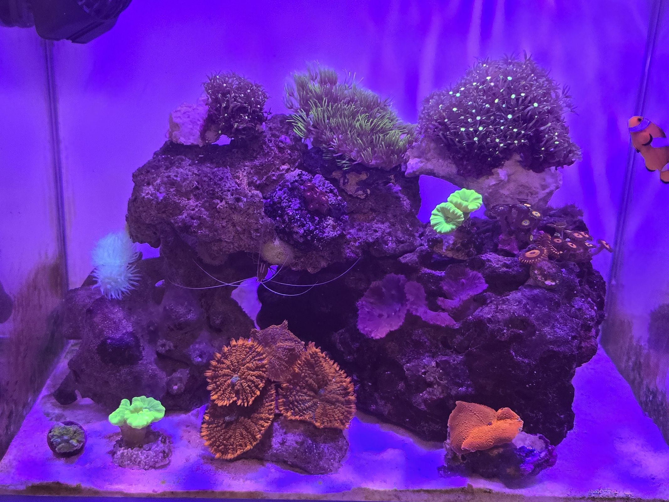 Tank Image