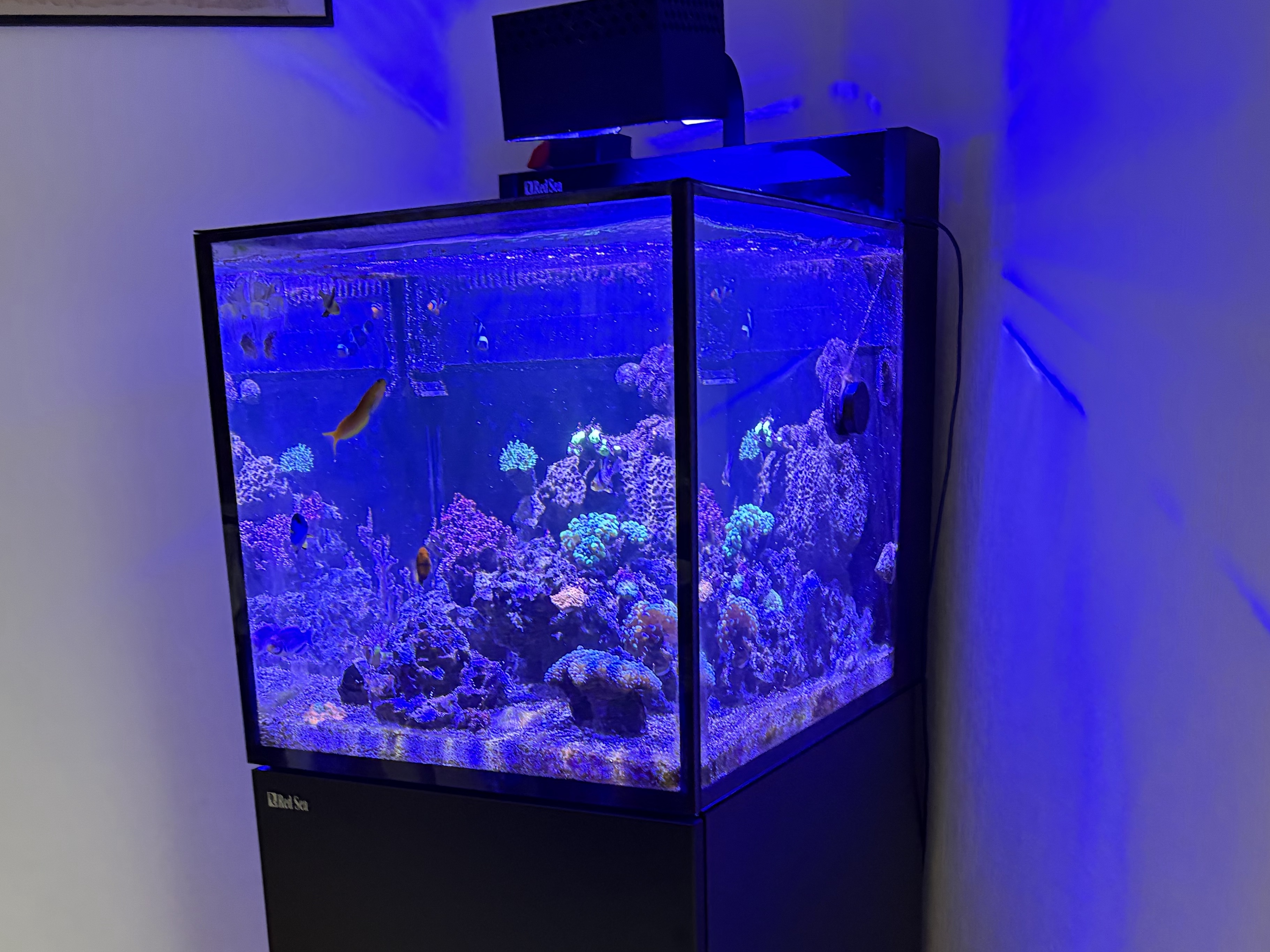Tank Image
