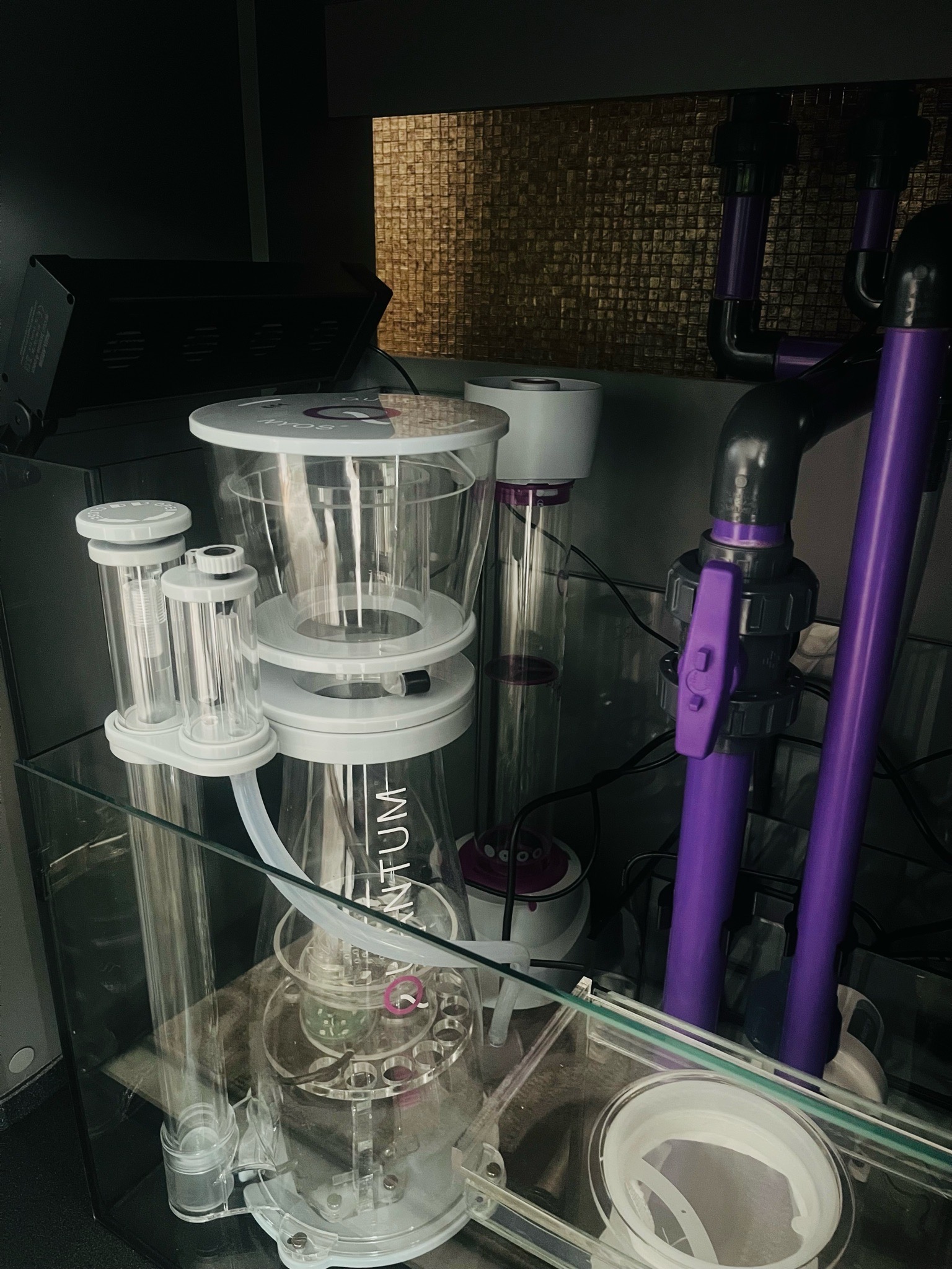 Reef tank sump setup with skimmer and plumbing showcase (photo 5)