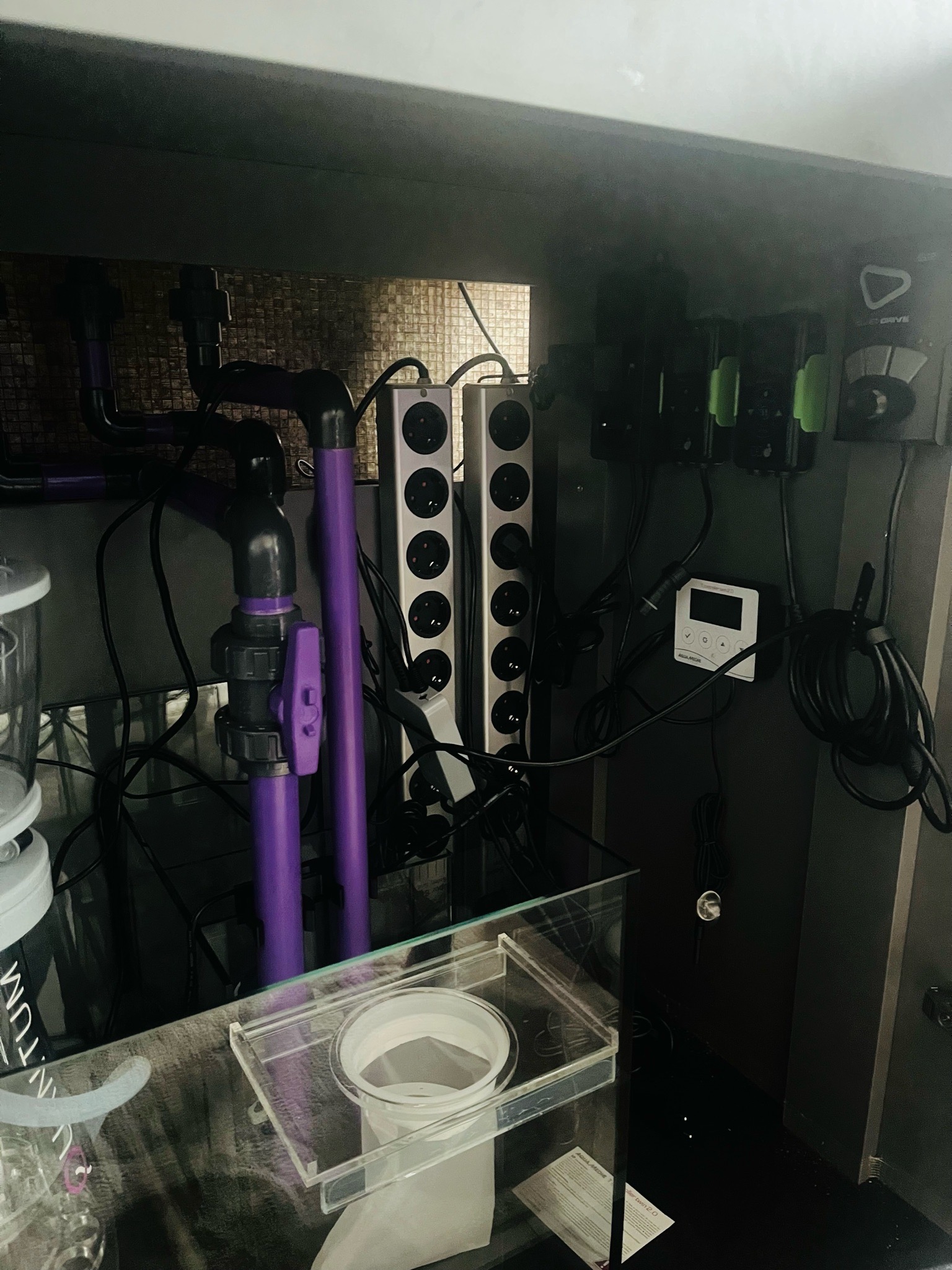 Reef tank sump setup with skimmer and plumbing showcase