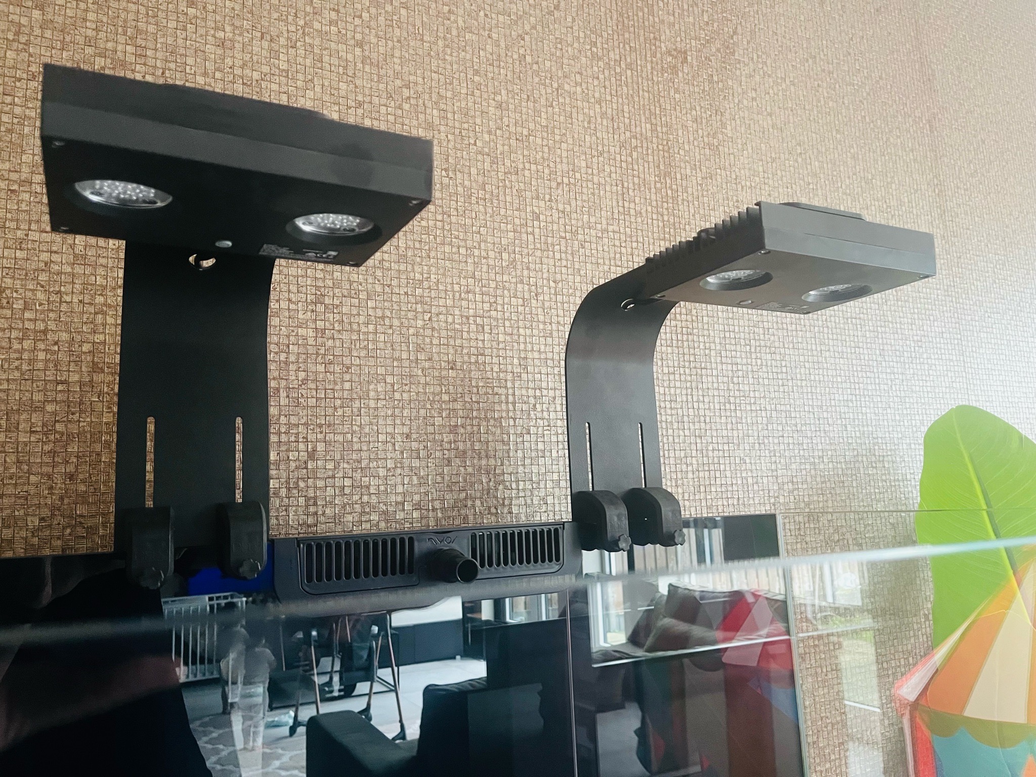 Reef tank sump setup with skimmer and plumbing showcase (photo 6)